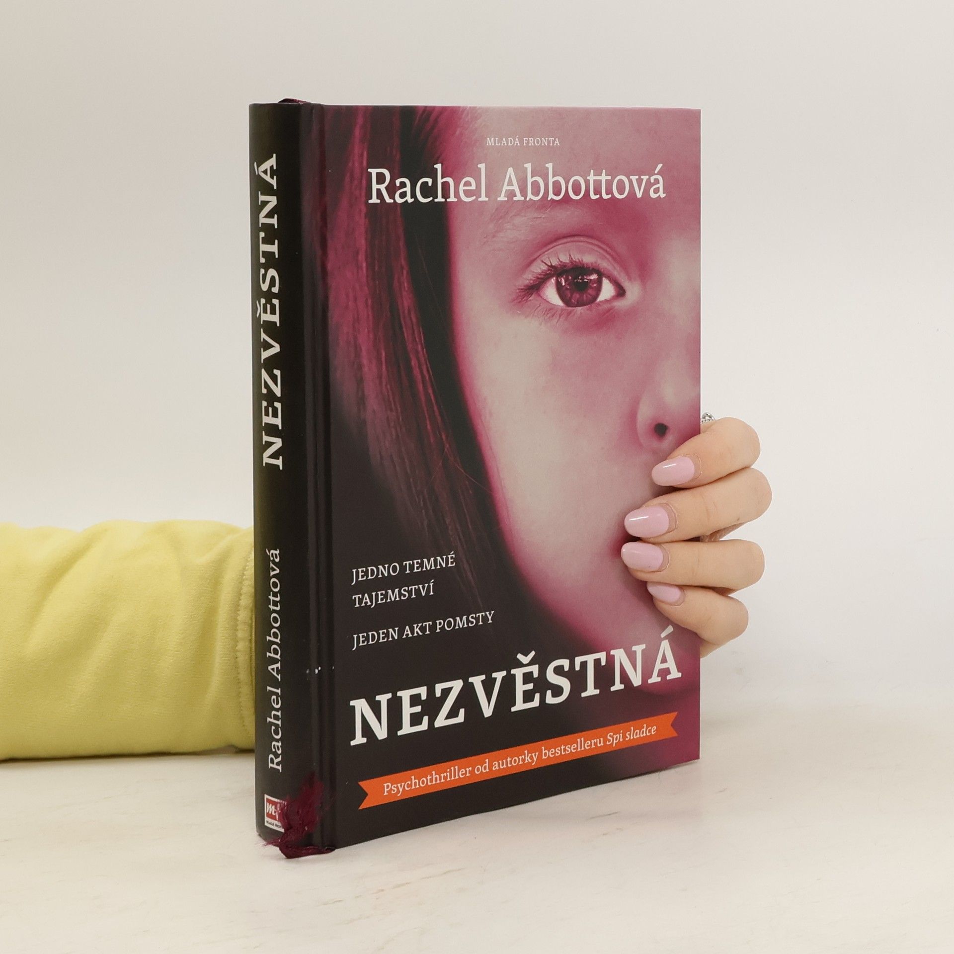 Rachel Abbott Nezvěstná