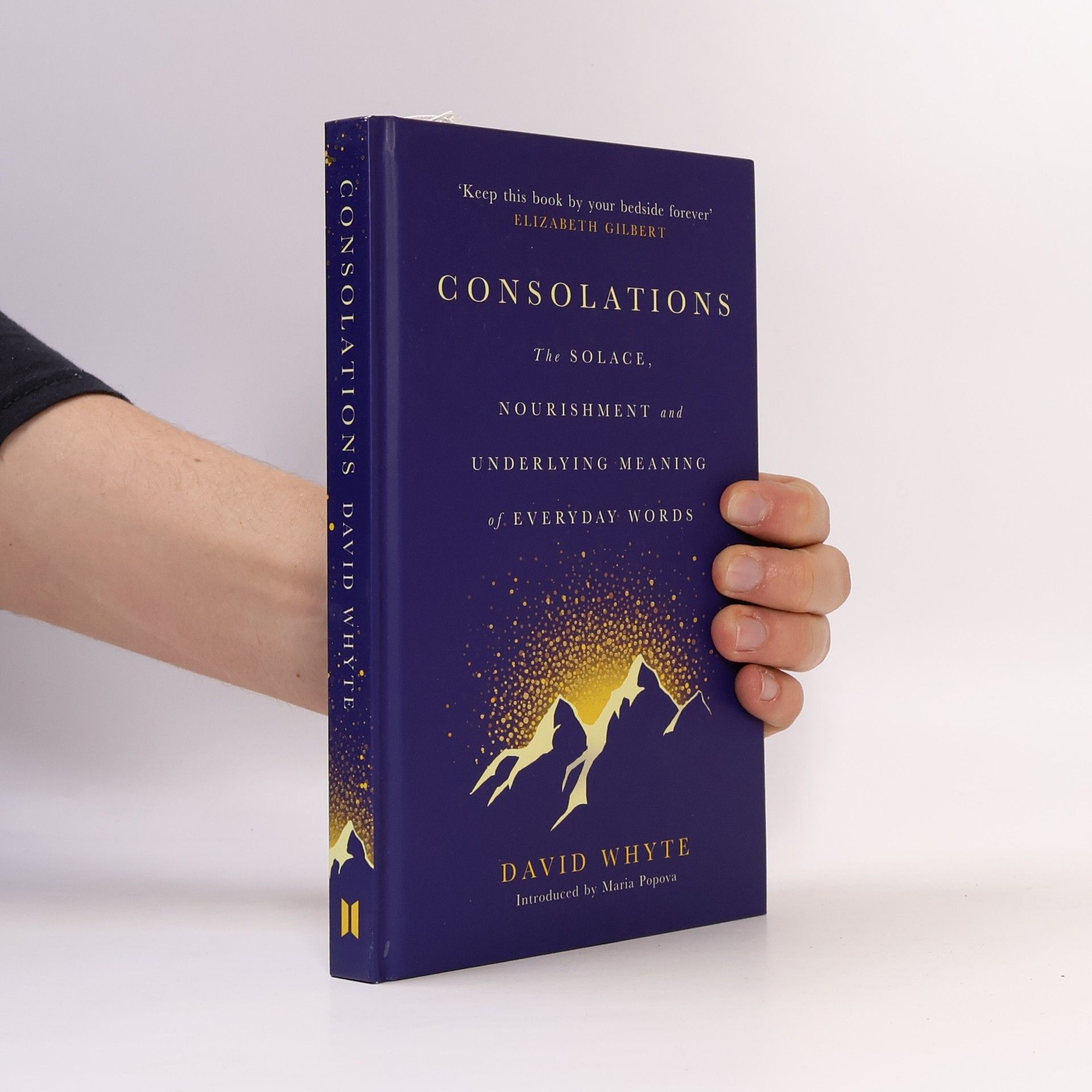 david Whyte Consolations