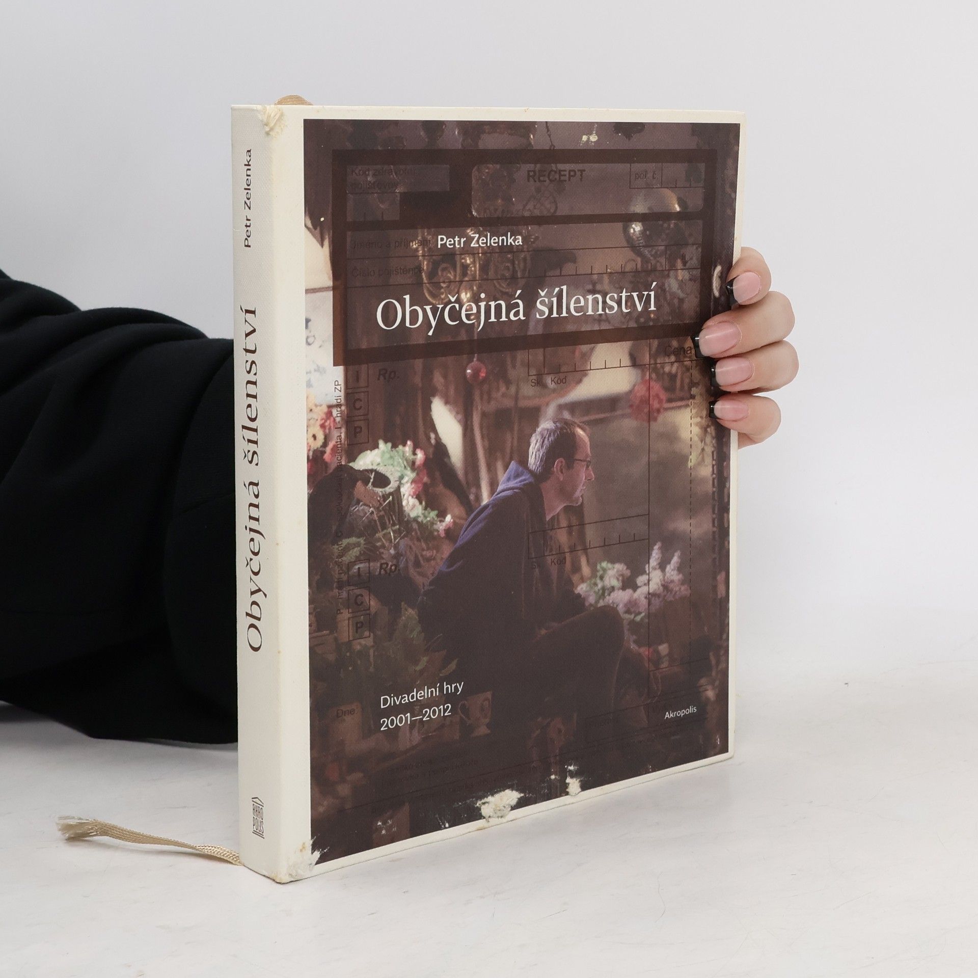 Obyčejná šílenství : divadelní hry 2001-2012