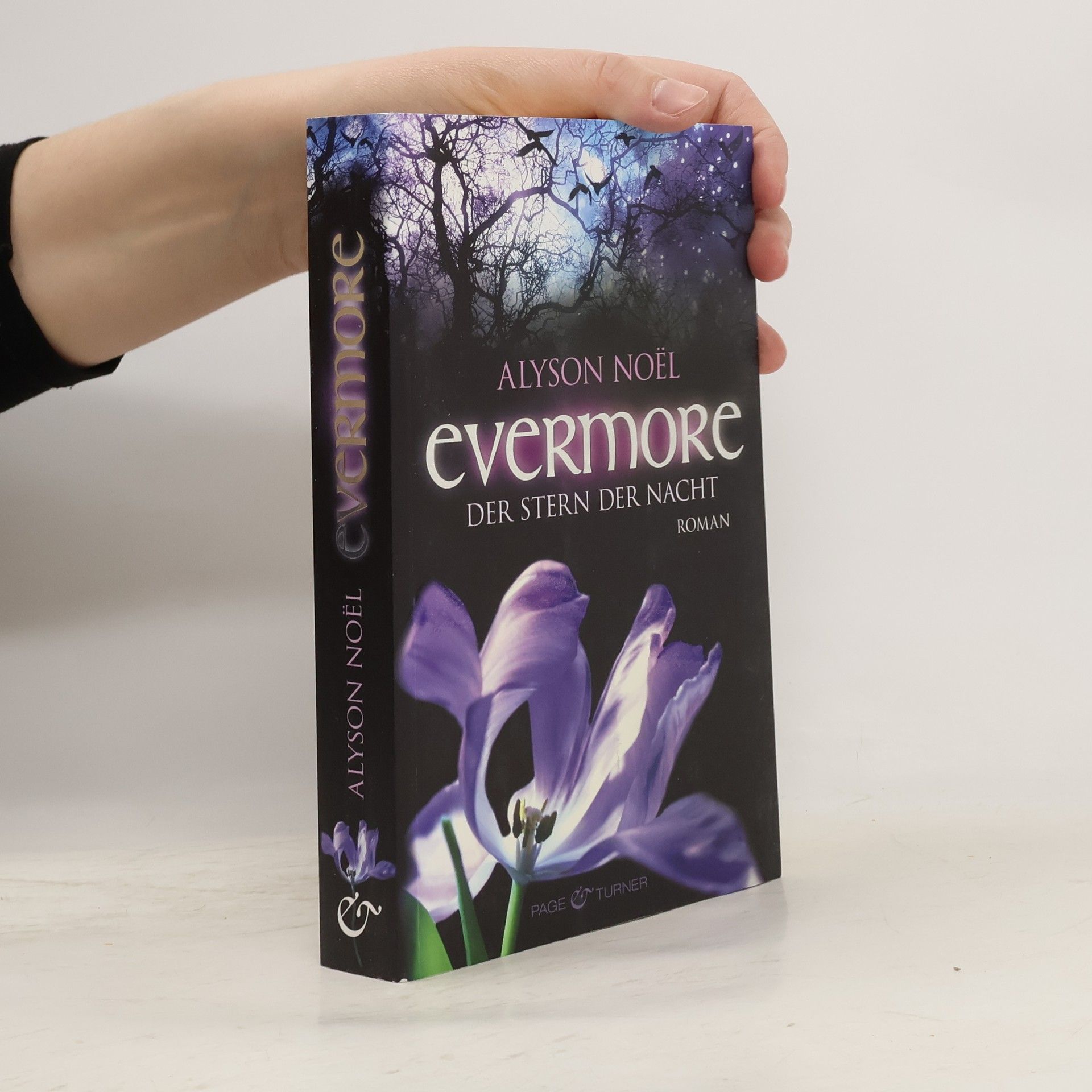 Alyson Noël Evermore: Der Stern der Nacht