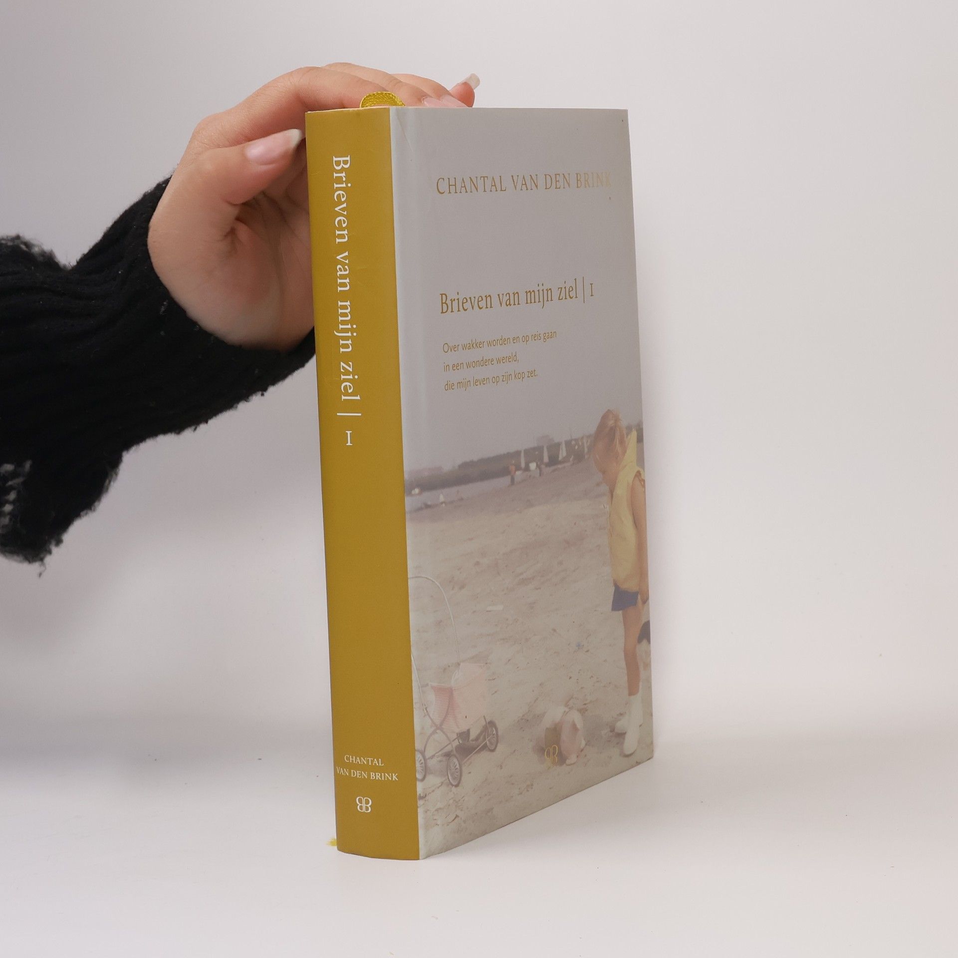 Chantal van den Brink Brieven van mijn ziel 1