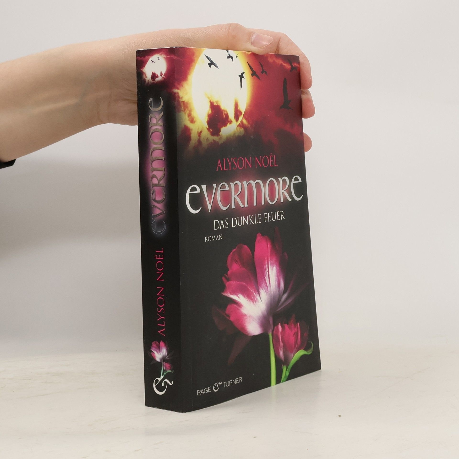 Alyson Noël Evermore: Das dunkle Feuer