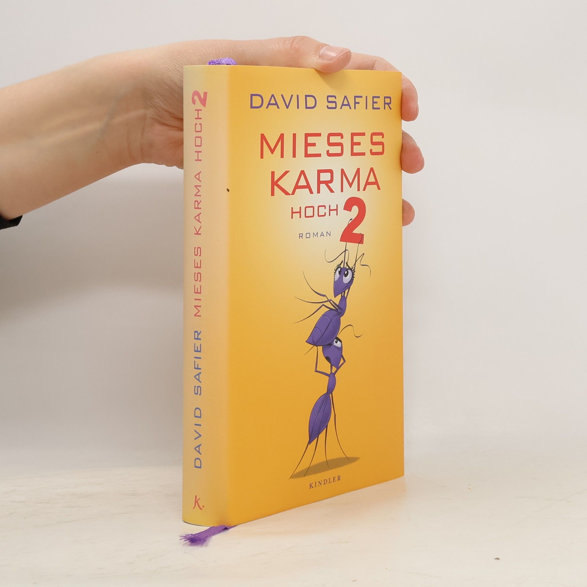 David Safier Mieses Karma hoch 2