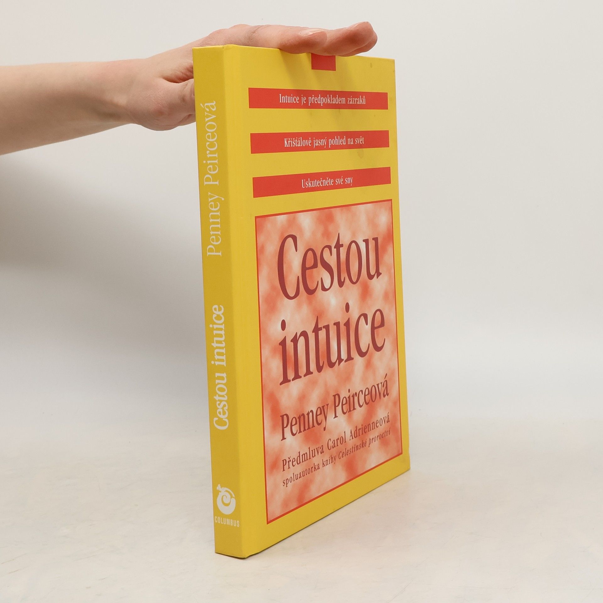Penney Peirce Cestou intuice: Průvodce životem pod vedením vnitřní moudrosti