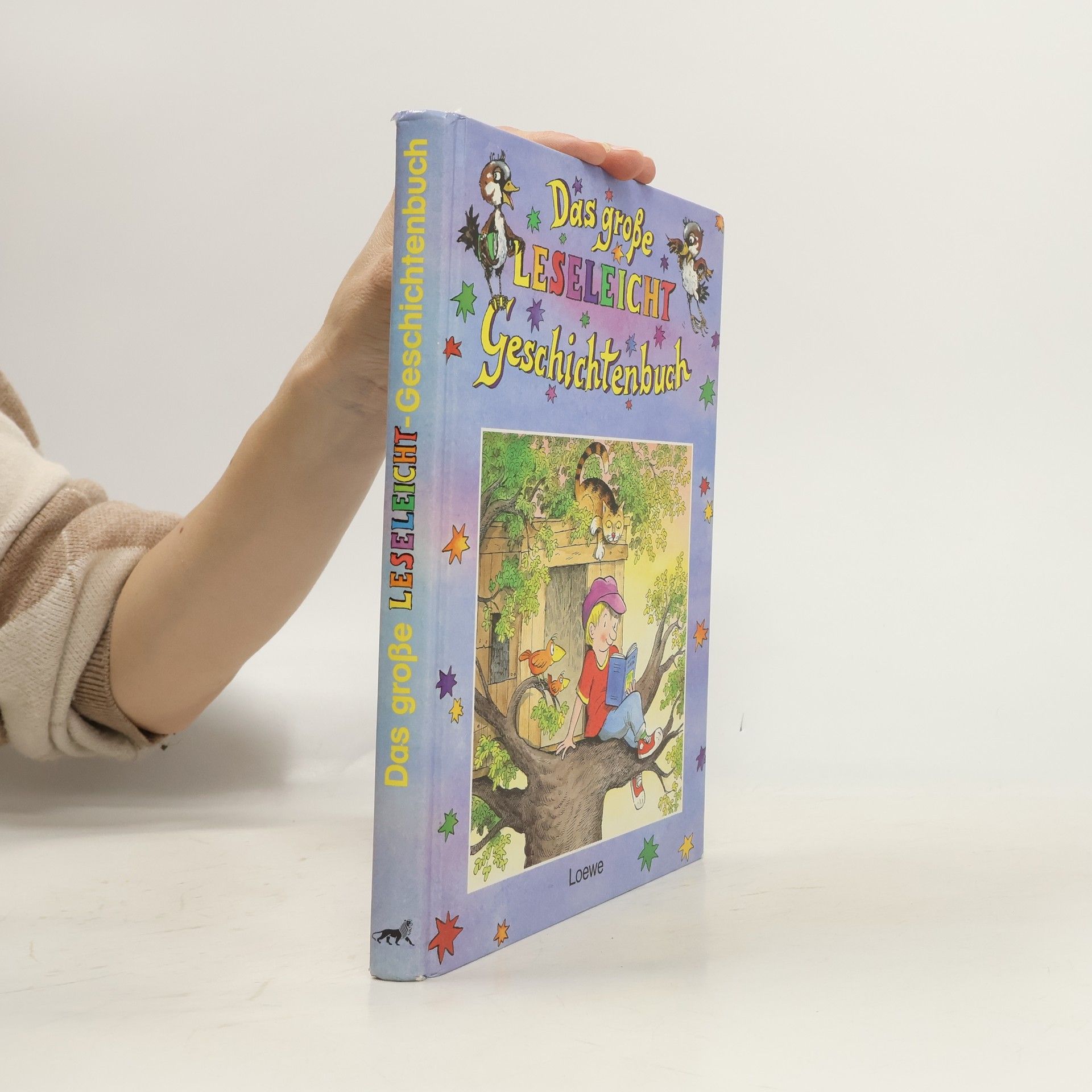 Autorenkollektiv Das grosse Leseleicht-Geschichtenbuch