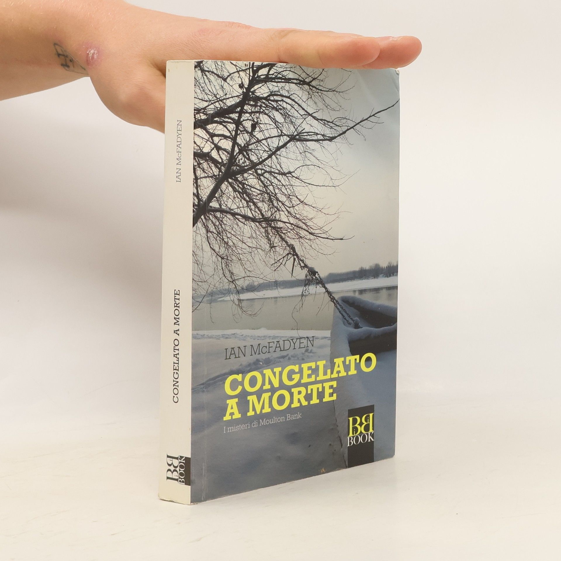 Ian McFadyen Congelato a morte. I misteri di Moulton Bank