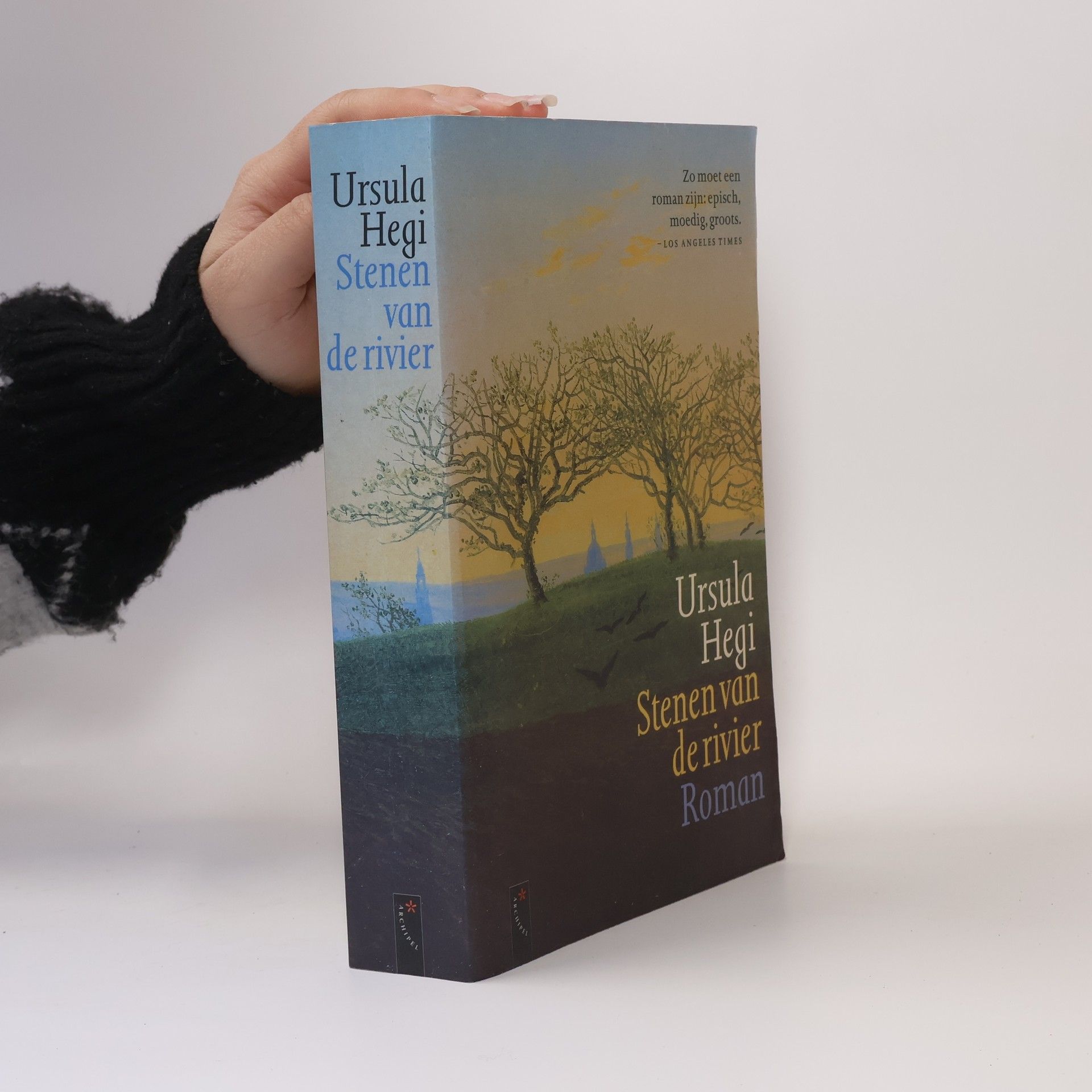 Ursula Hegi Stenen van de rivier