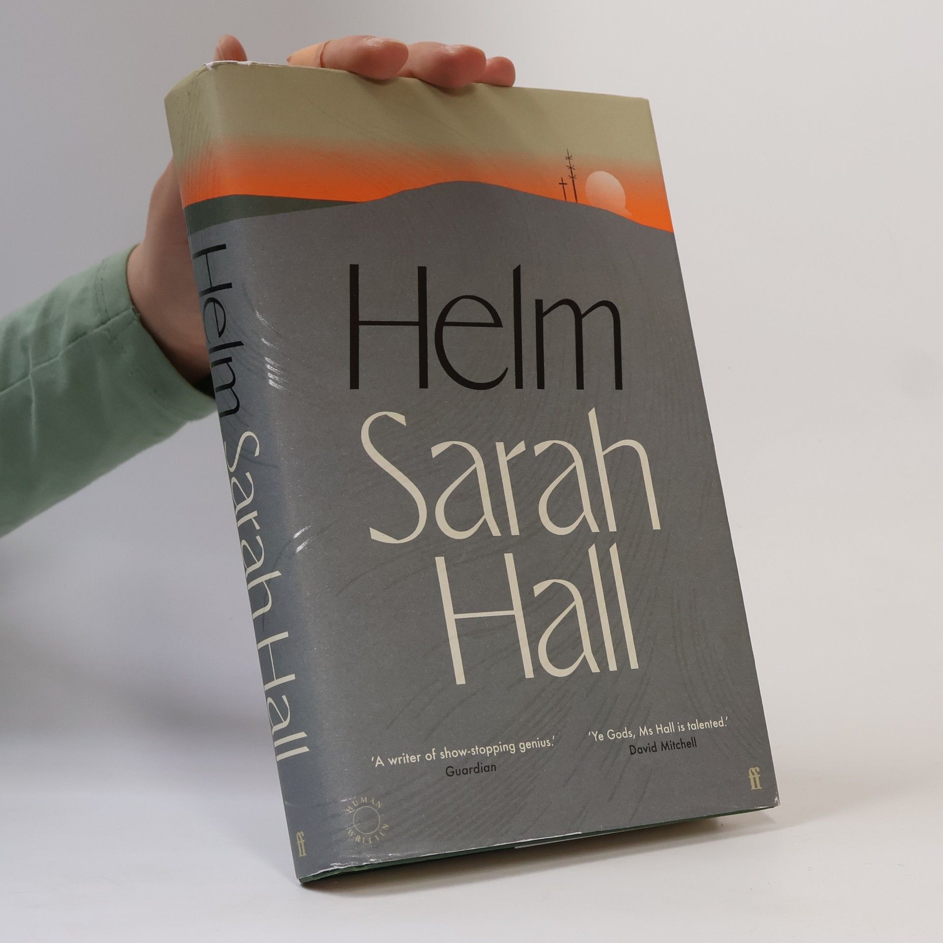 Sarah Hall Helm