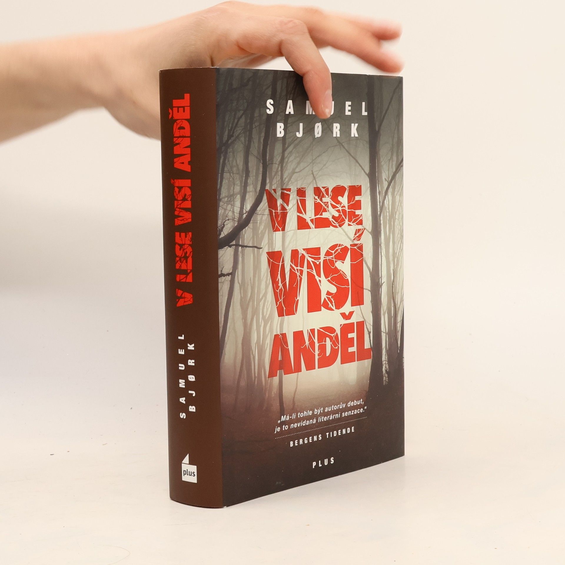 V lese visí anděl
