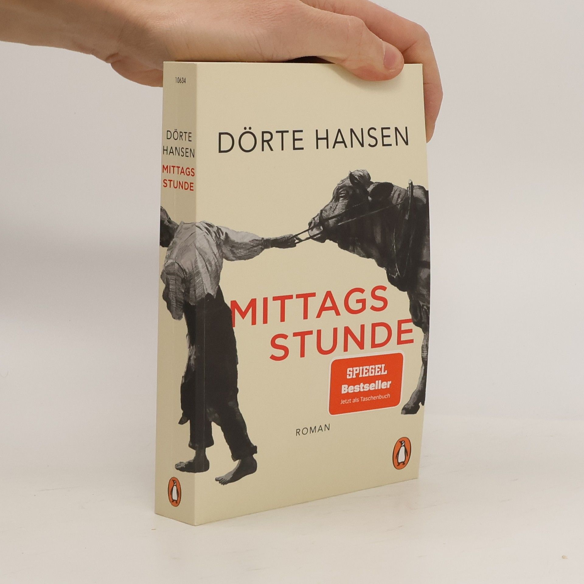 Dörte Hansen Mittagsstunde