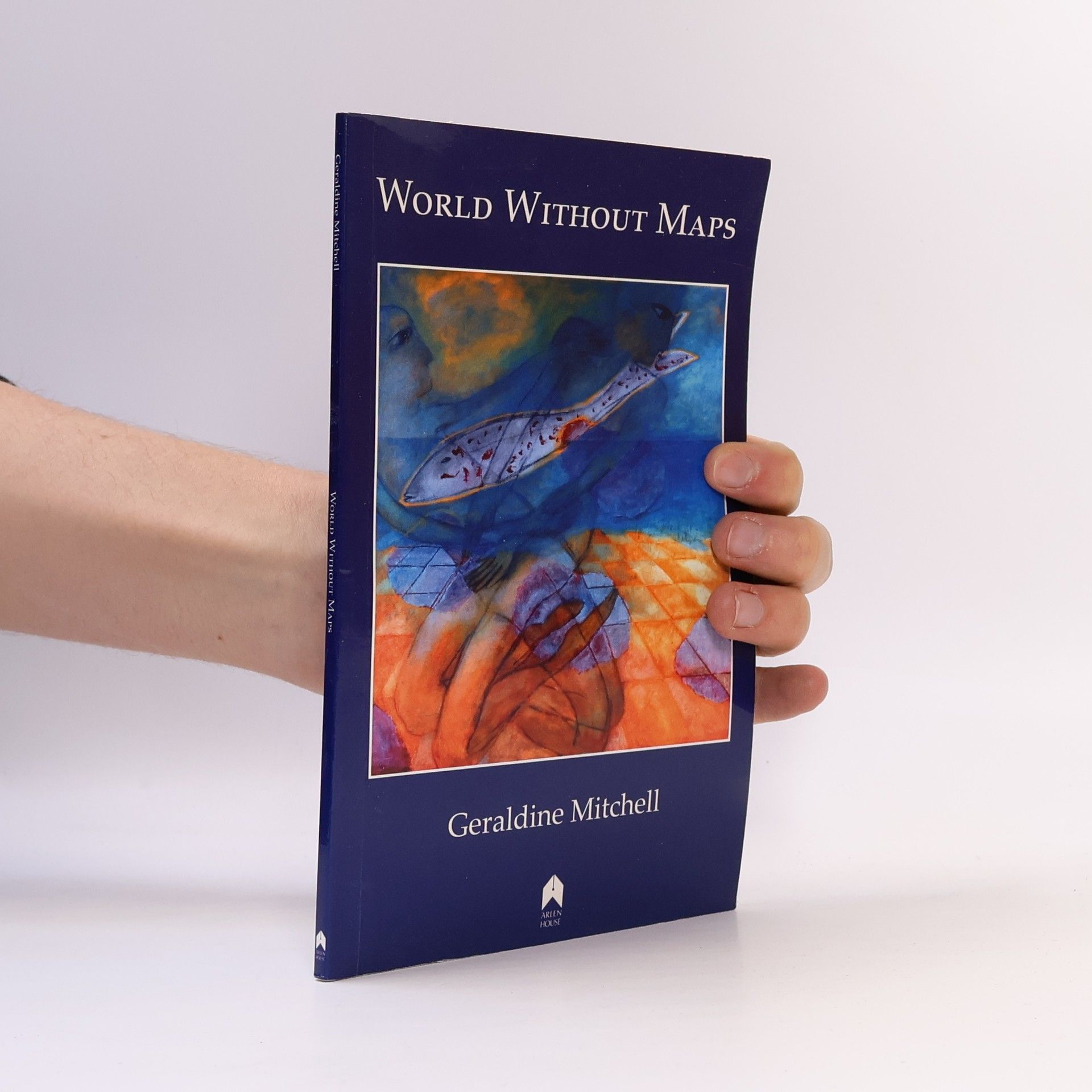 Geraldine Mitchell World Without Maps