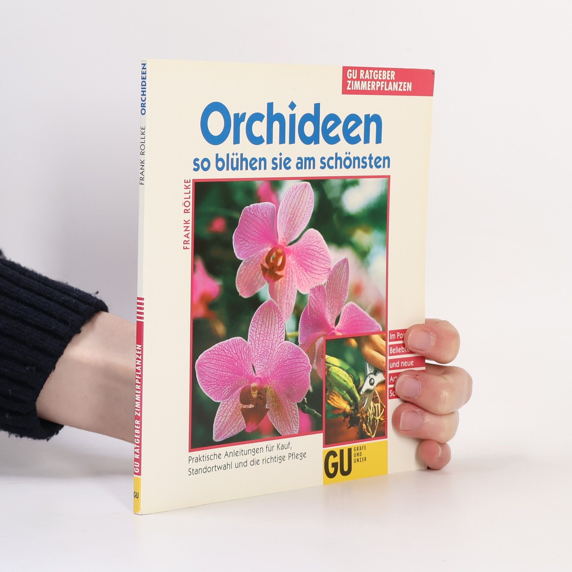 Frank Rolke Orchideen