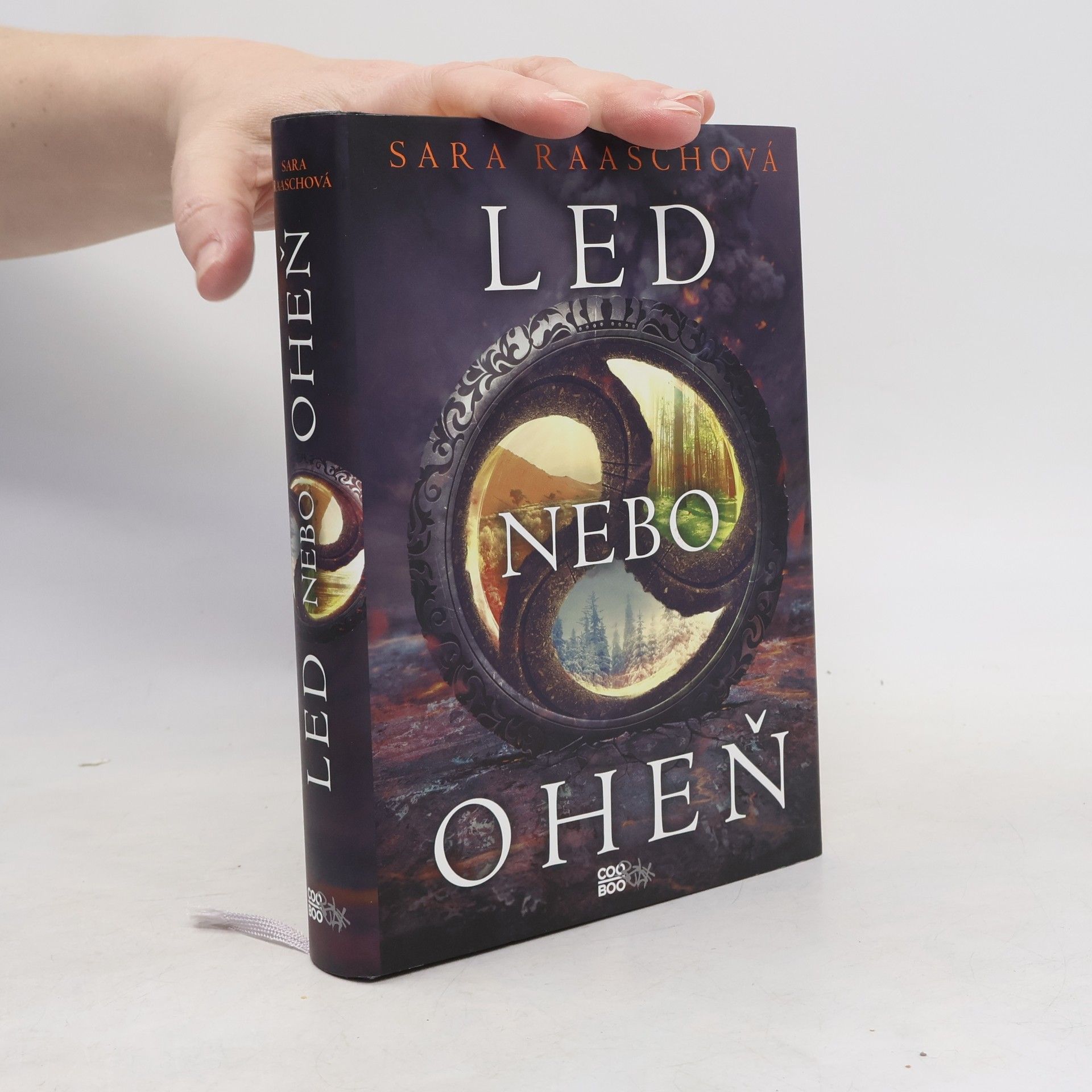 Sara Raasch Led nebo oheň