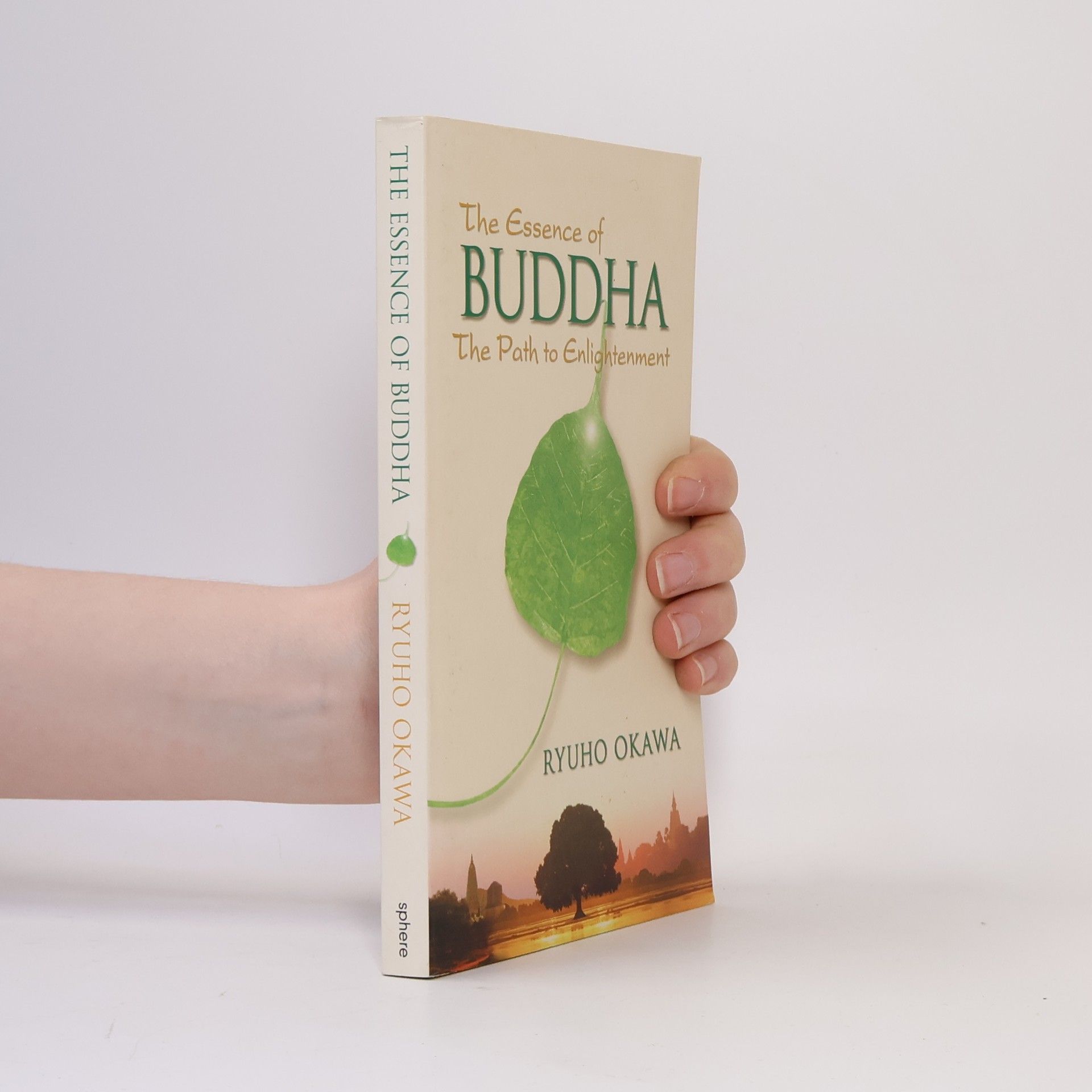 Ryūhō Ōkawa The Essence of Buddha