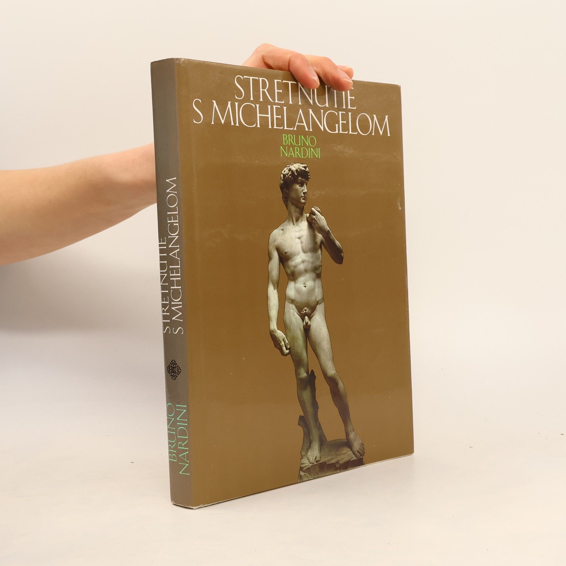 Stretnutie s Michelangelom