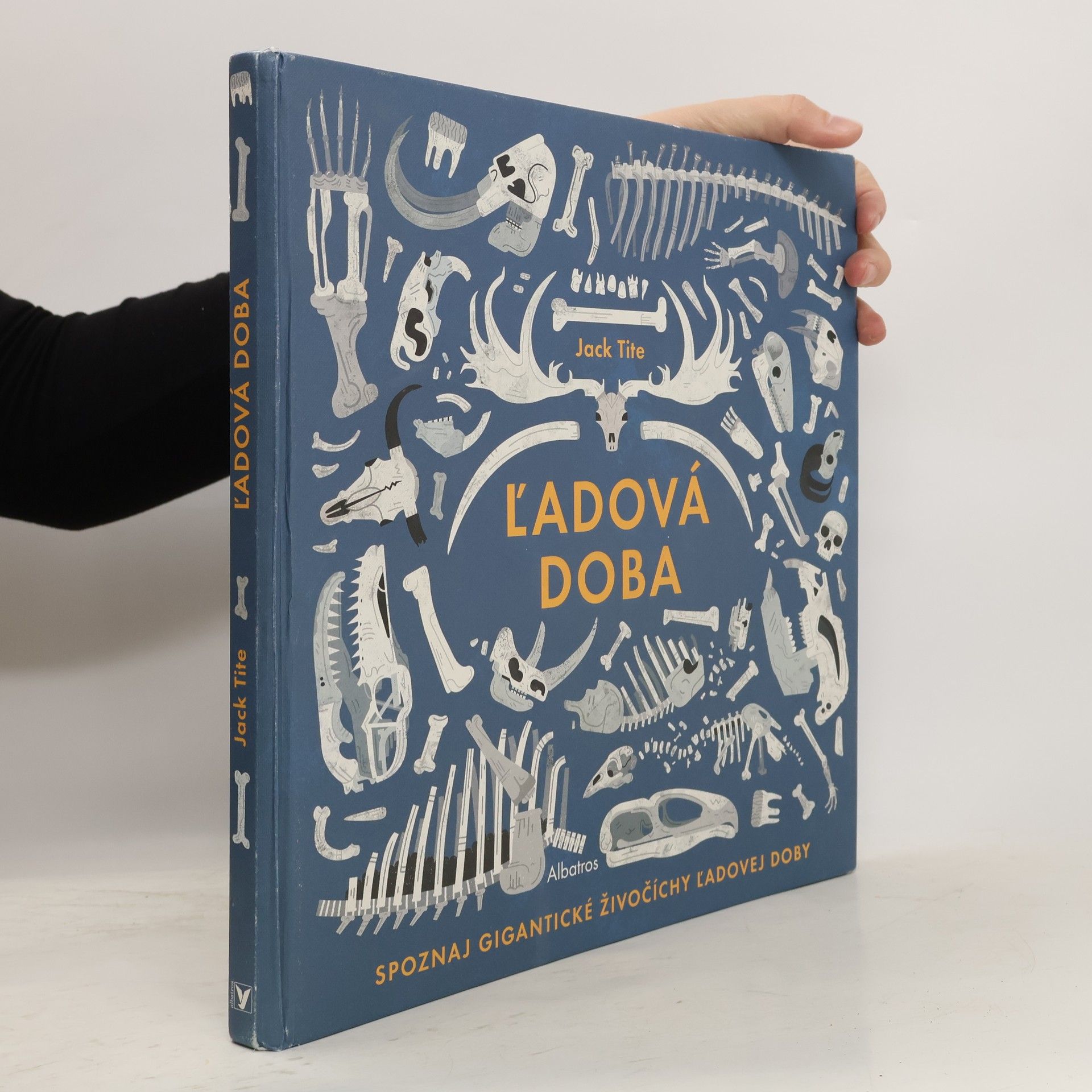 Jack Tite Ľadová doba