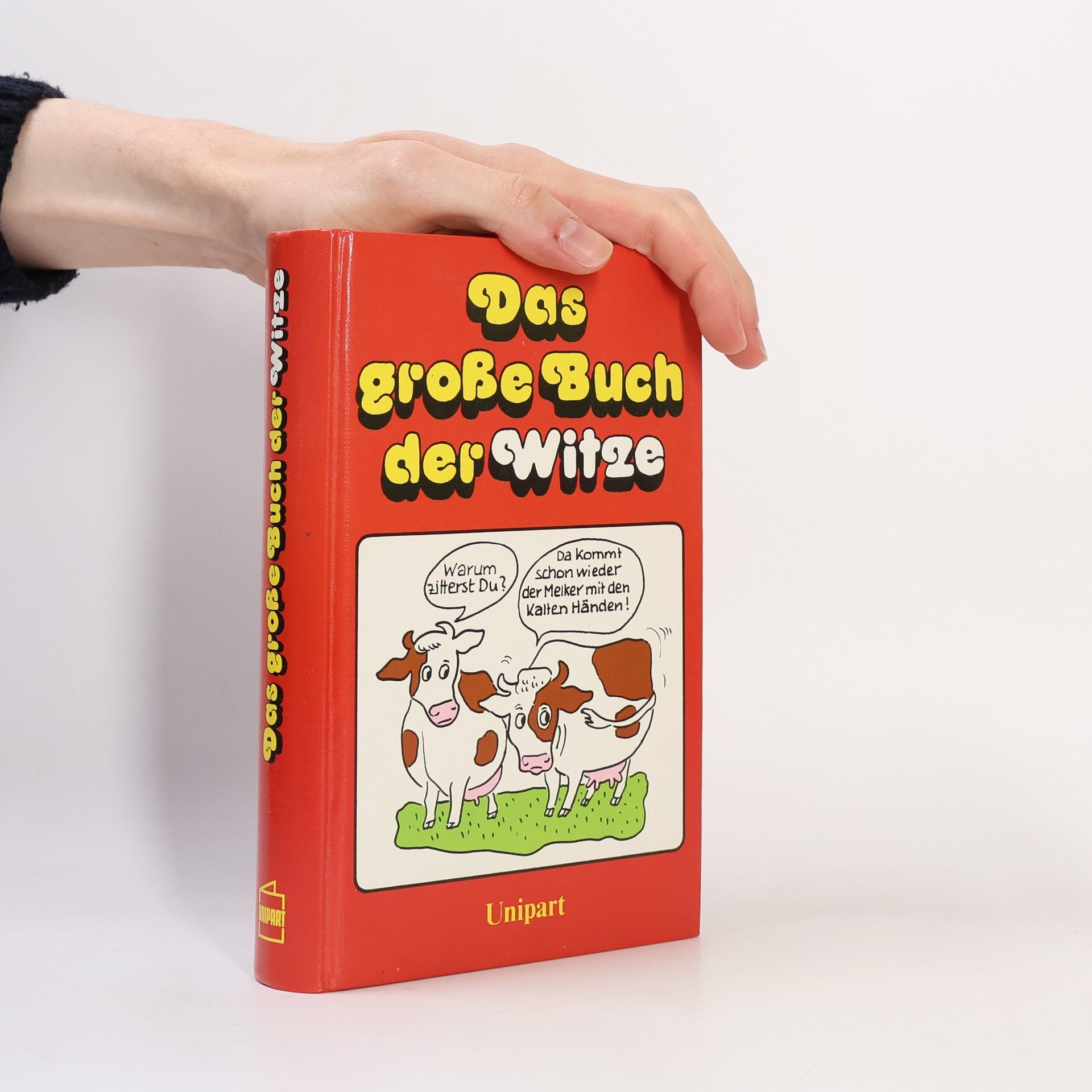 Kolektiv autorů Das große Buch der Witze