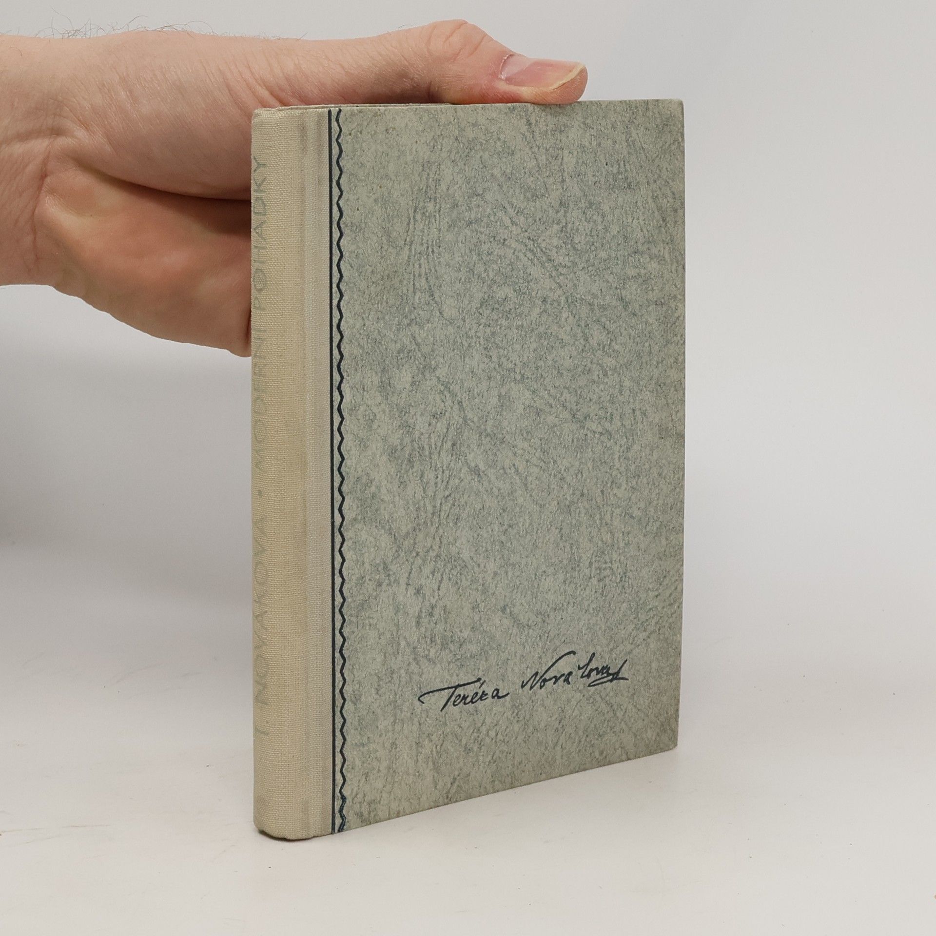 Tereza Nováková Moderní pohádky