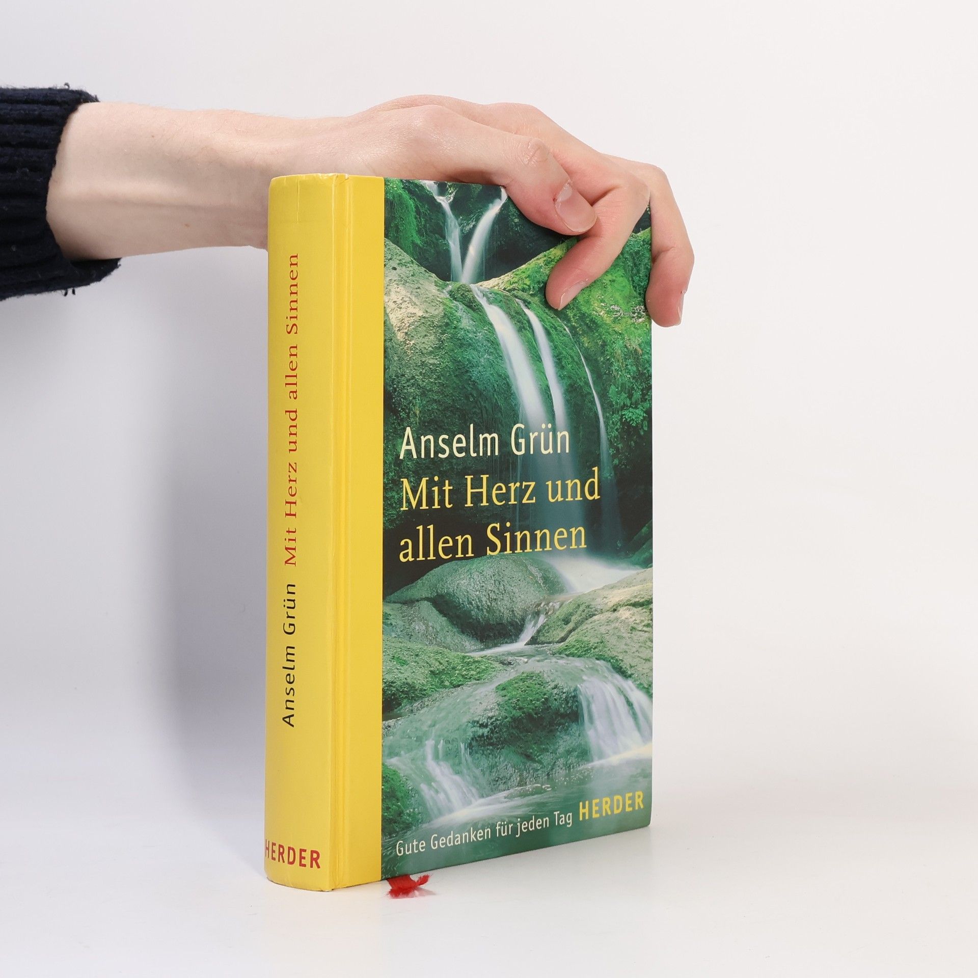 Anselm Grün Mit Herz und allen Sinnen