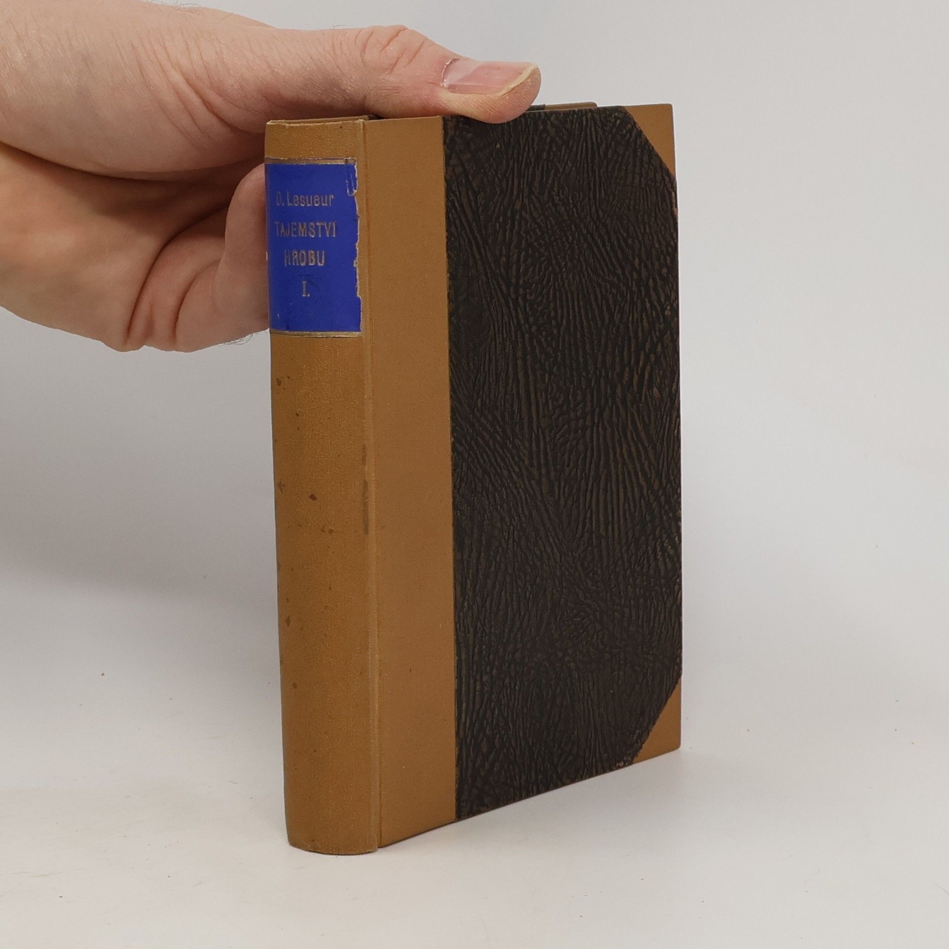 Daniel Lesueur Tajemství hrobu