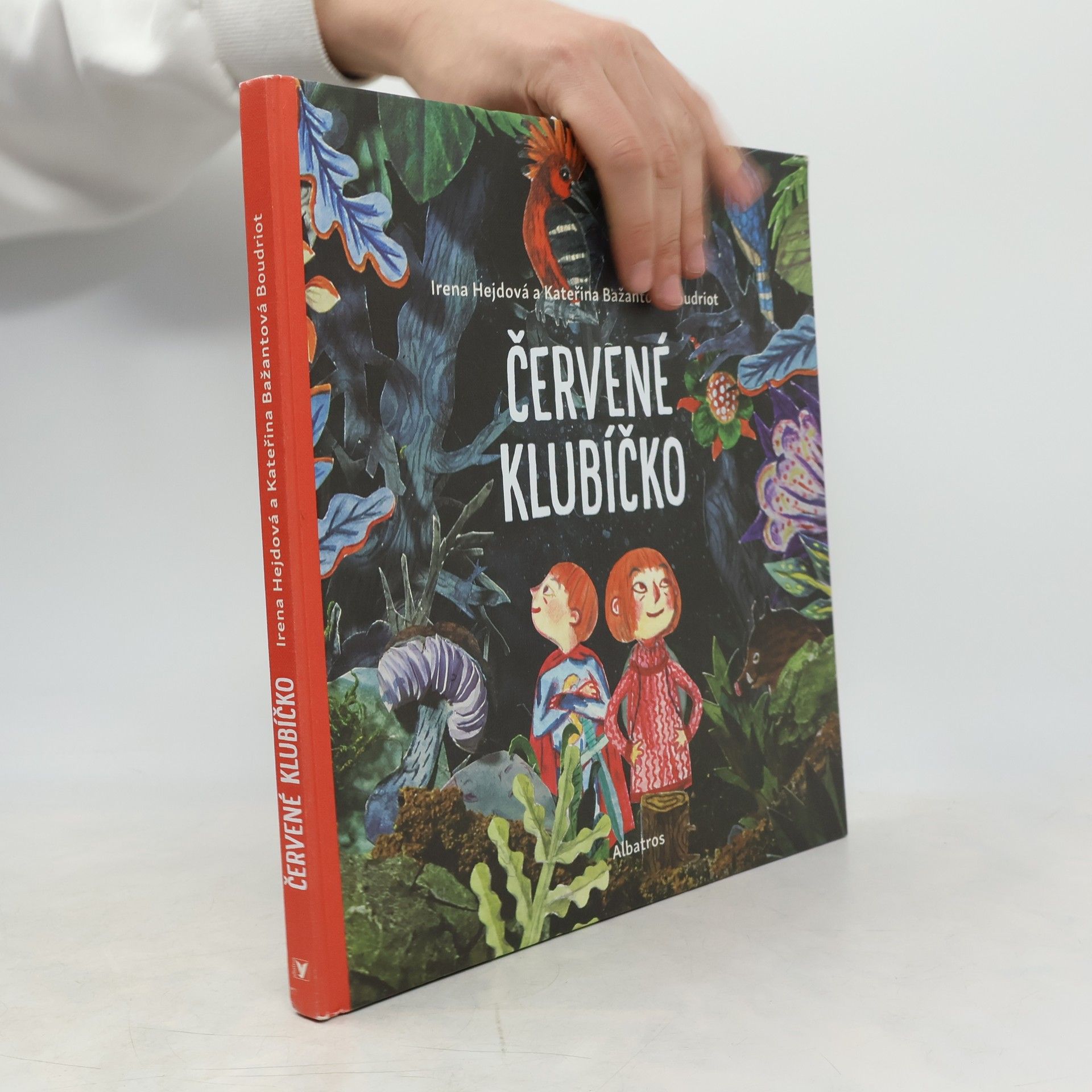 Irena Hejdová Červené klubíčko