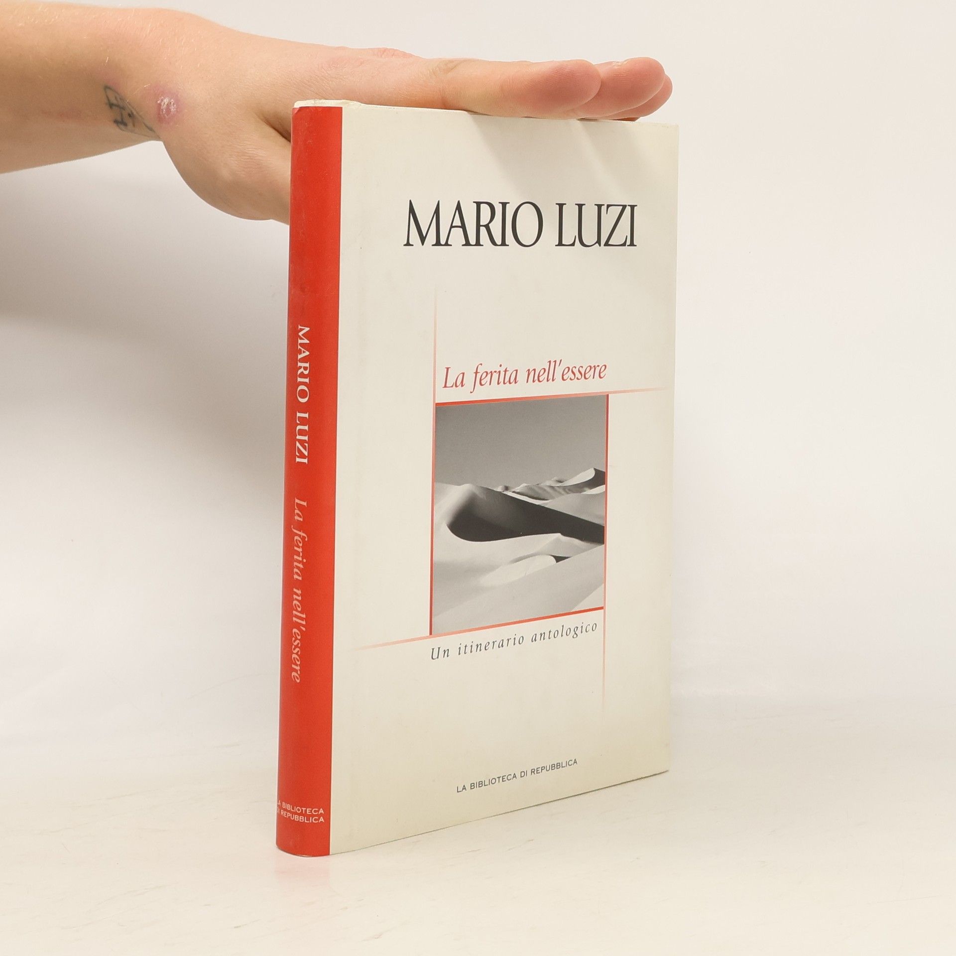 Luzi Mario La ferita nell'essere