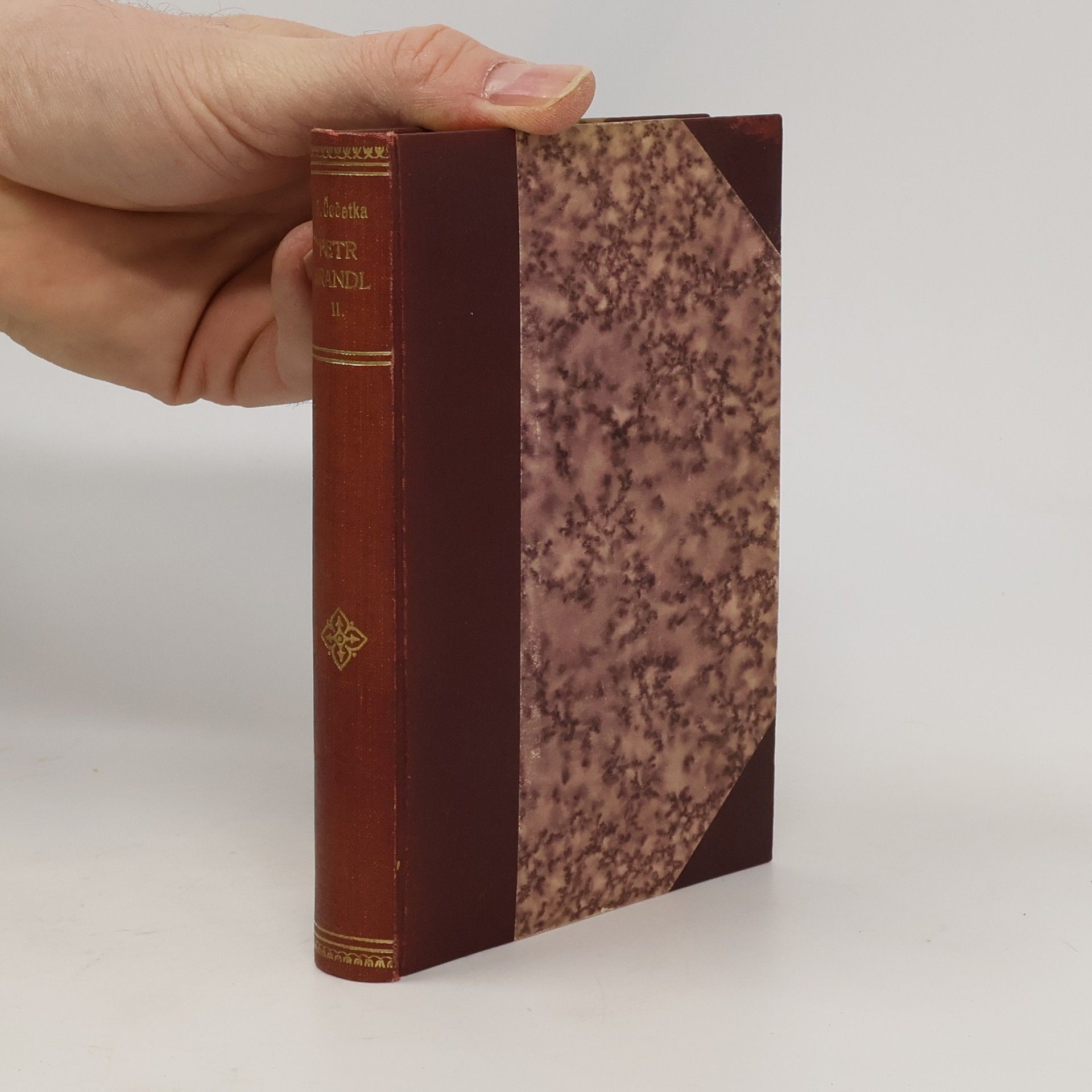 František Josef Čečetka Petr Brandl II