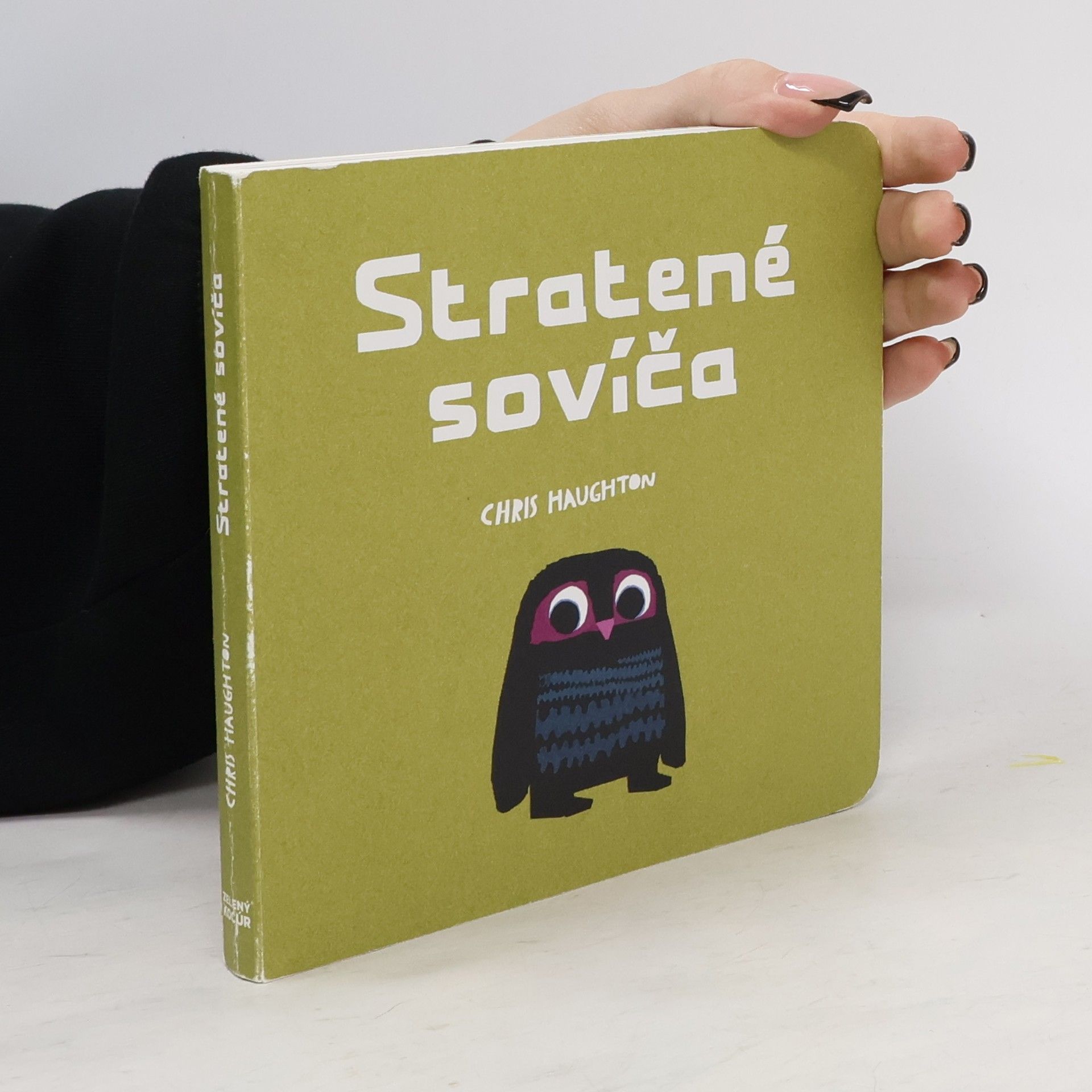 Chris Haughton Stratené sovíča