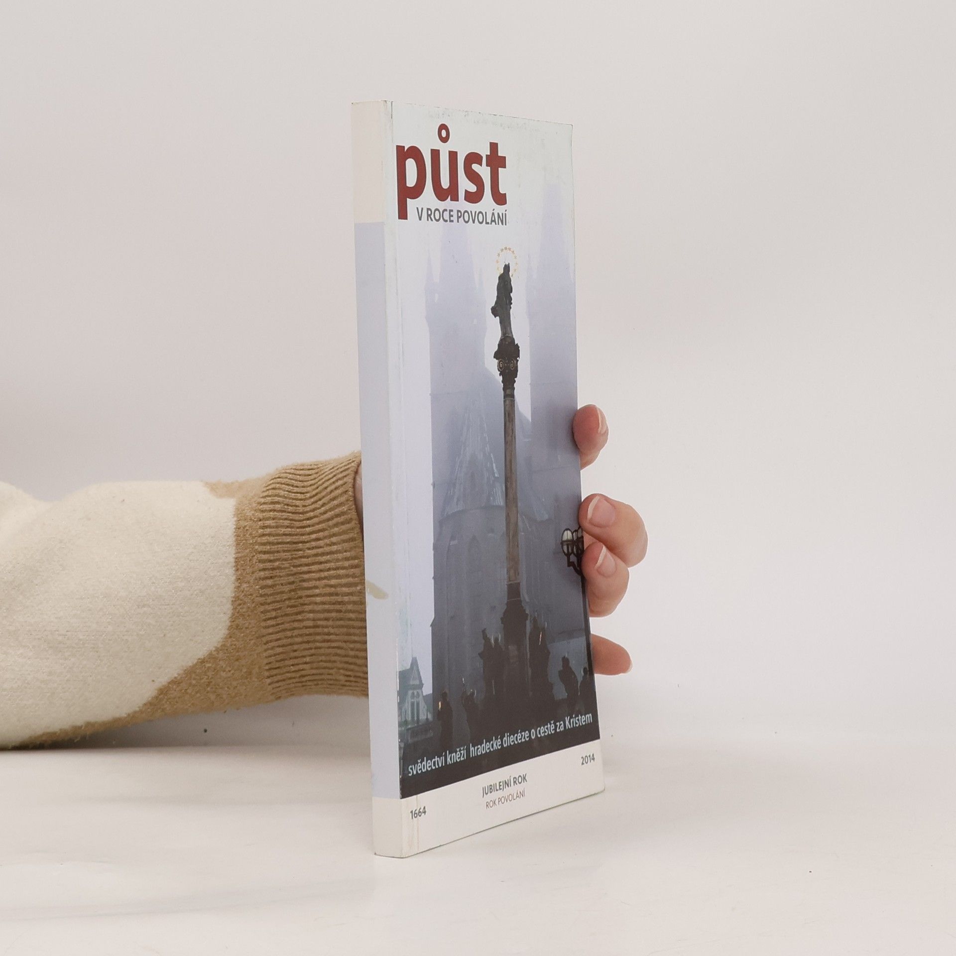 Autorenkollektiv Půst v roce povolání