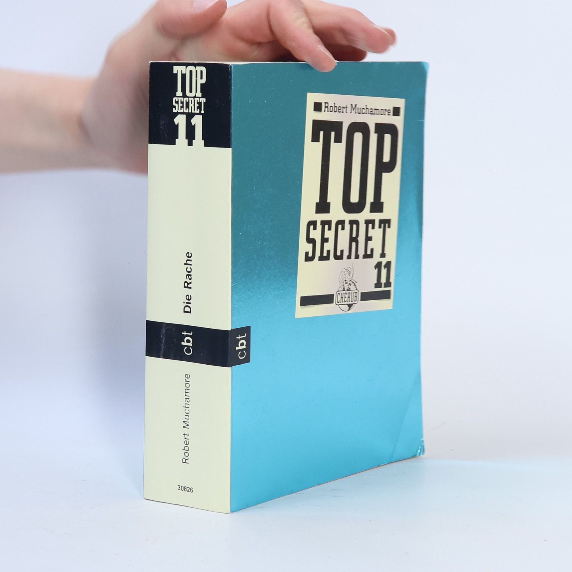 Top Secret 11 - Die Rache