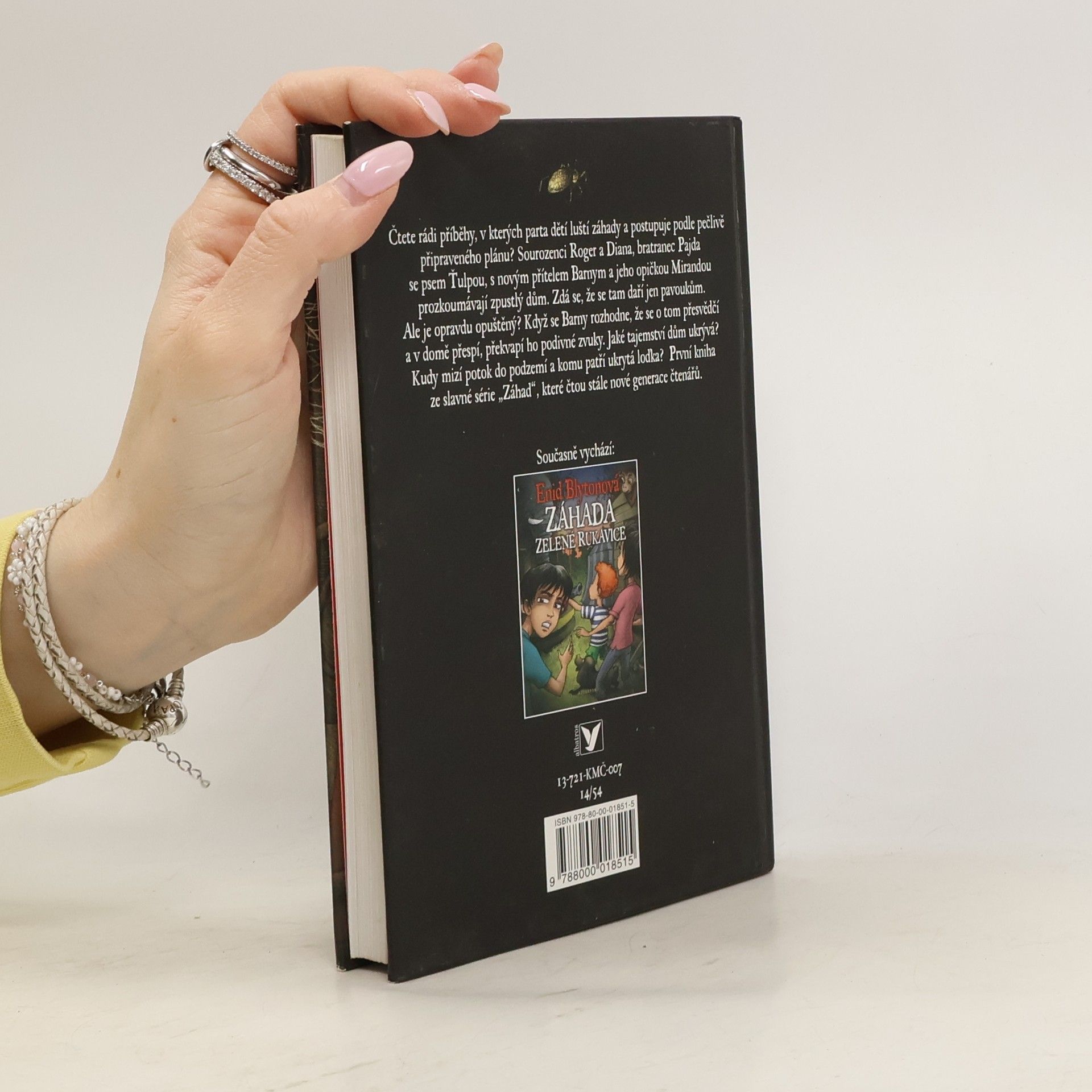 Enid Blyton Záhada Pavoučího domu