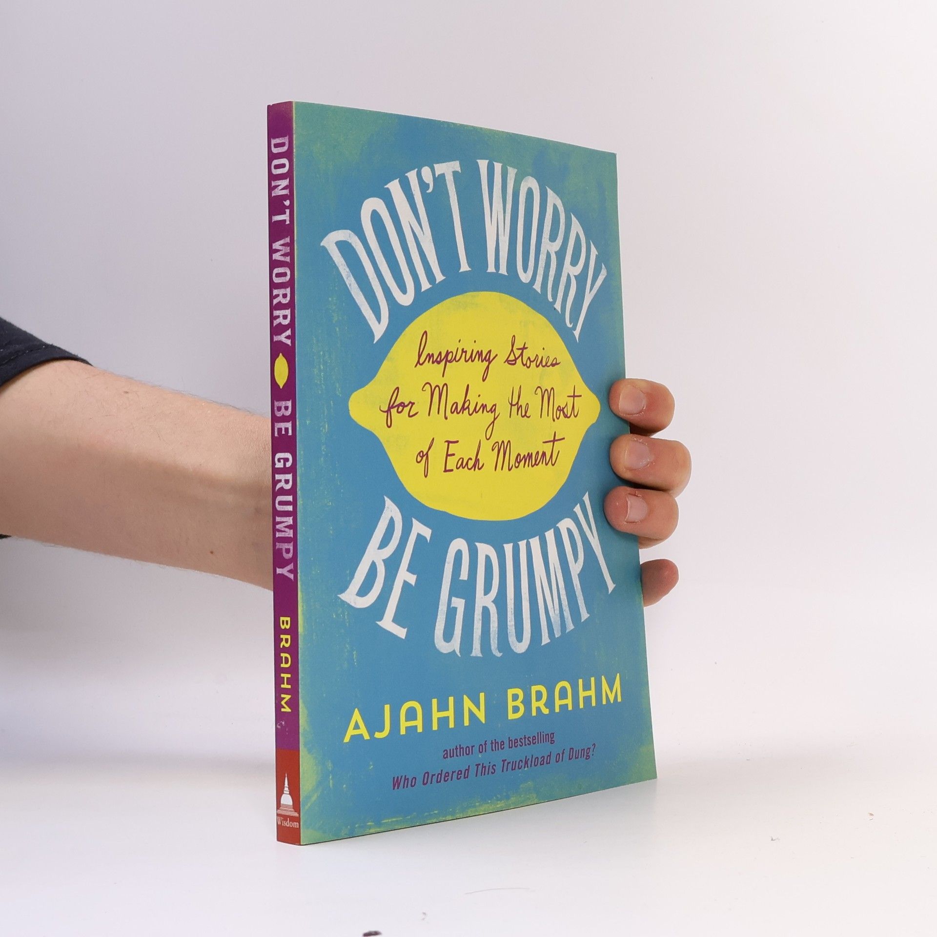 Brahmavamsó Don't Worry, be Grumpy