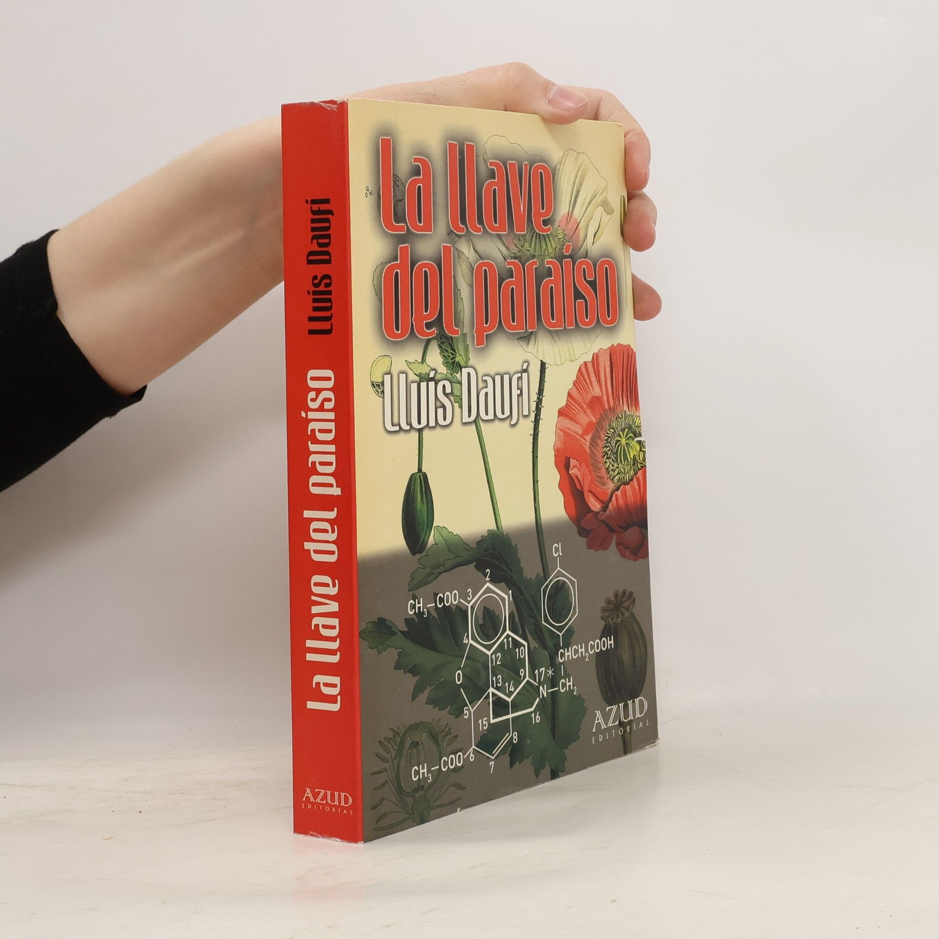 Lluís Daují La Llave del paraíso