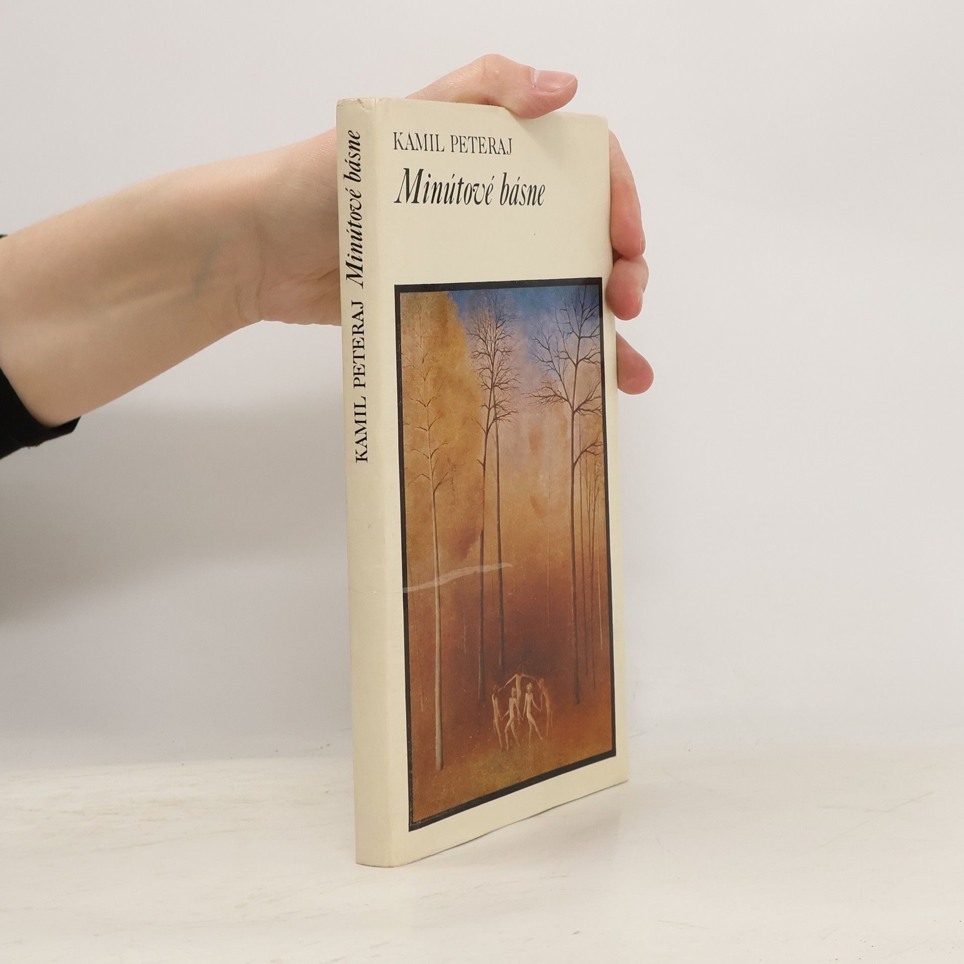 Kamil Peteraj Minútové básne
