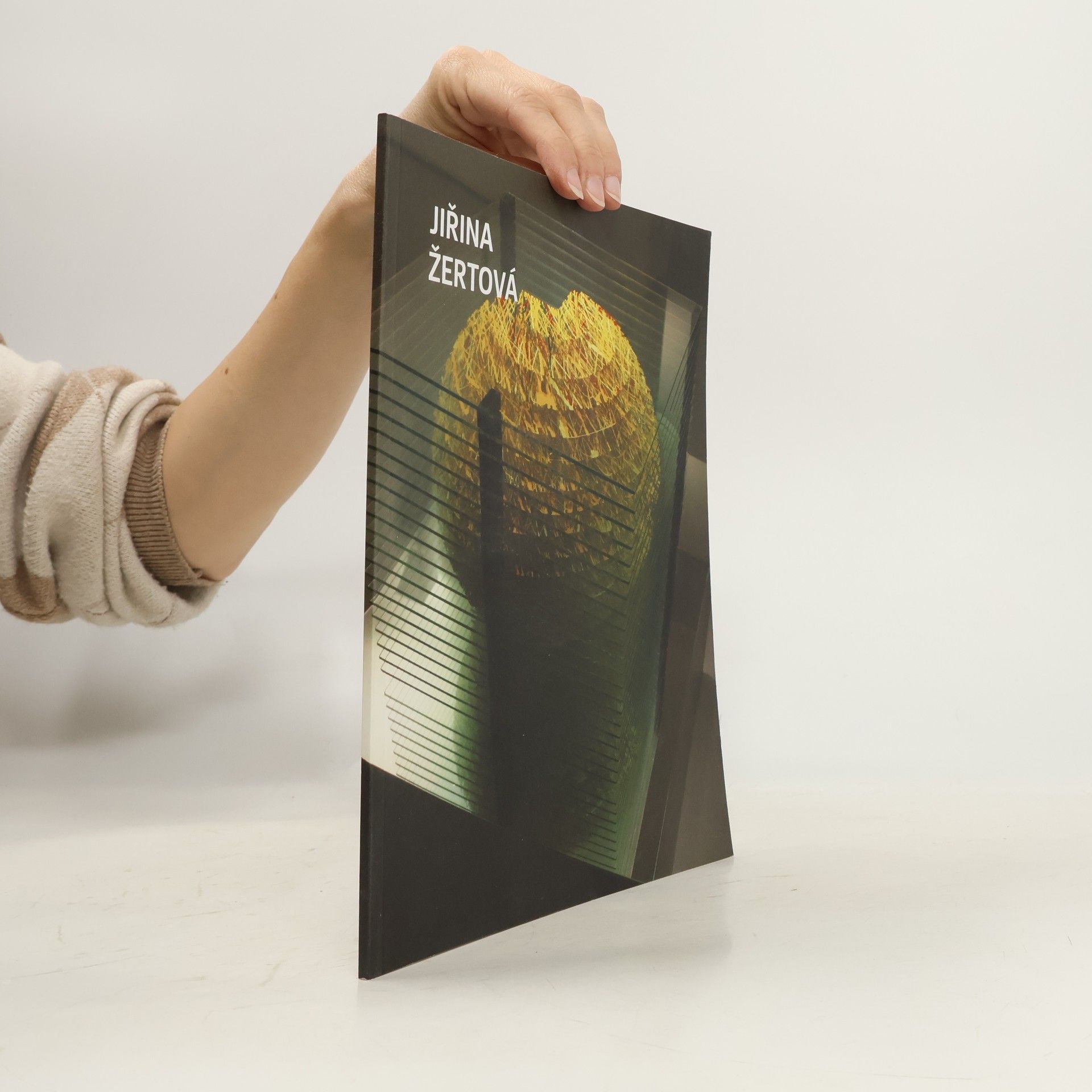 Jiřina Žertová Jiřina Žertová. Selected Works 1979-2012