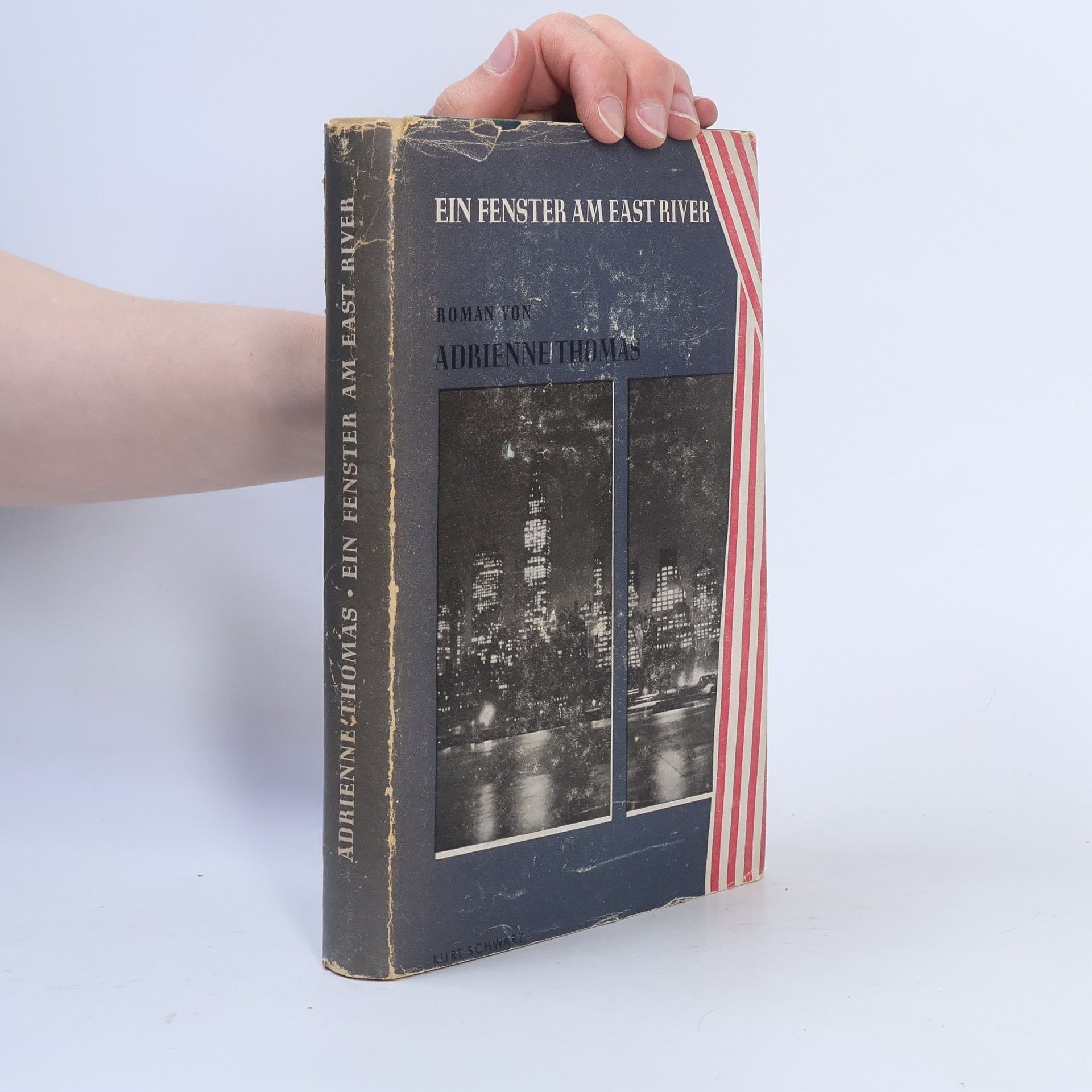 Adrienne Thomas Ein Fenster am East River