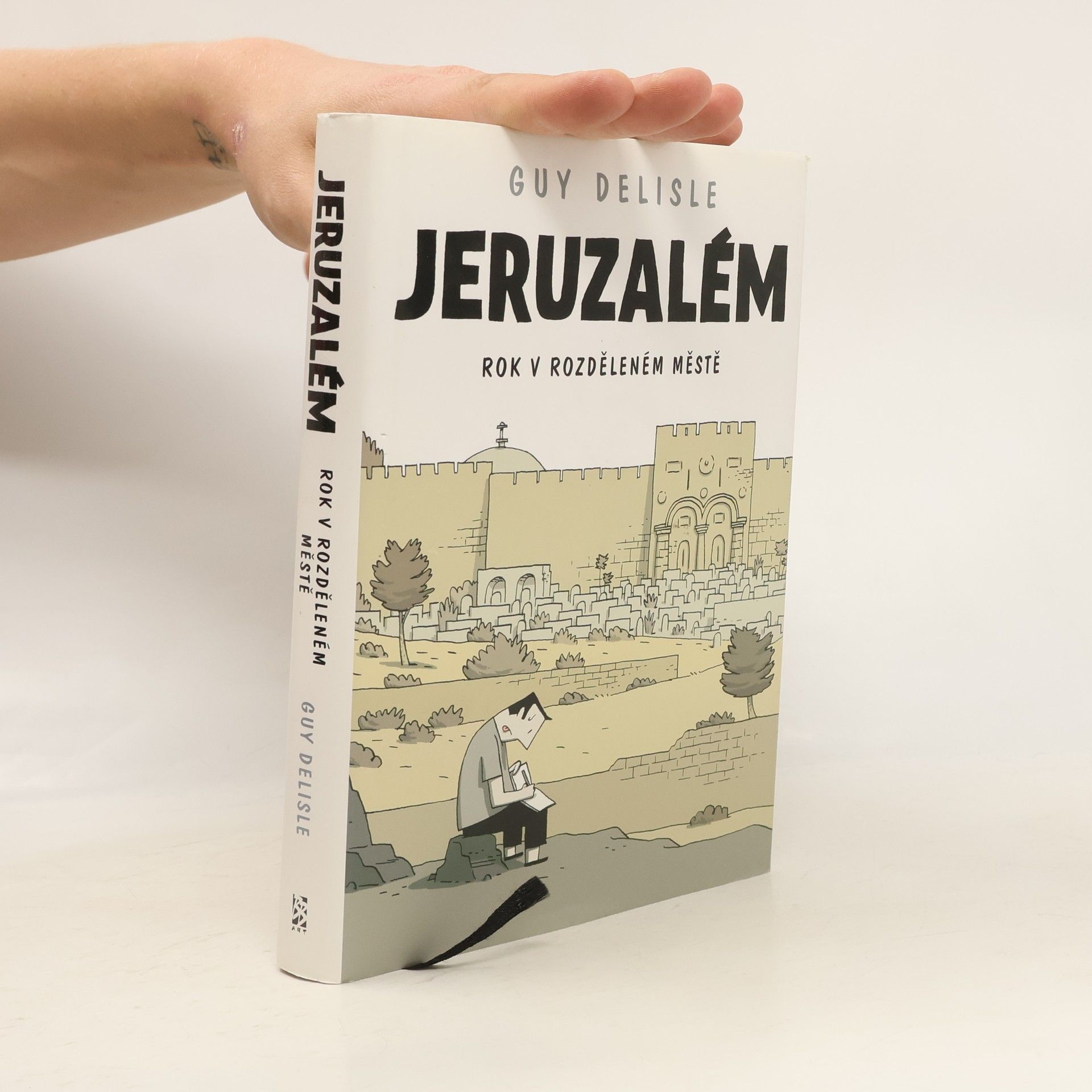 Lucie Firoud Jeruzalém : rok v rozděleném světě