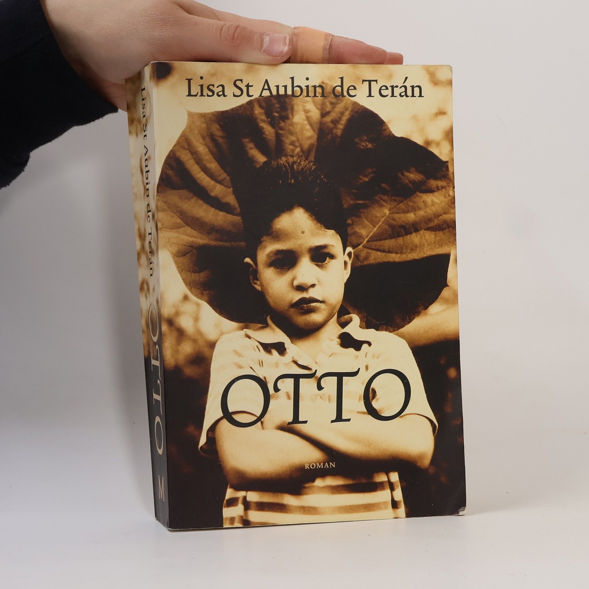 Lisa St Aubin de Terán Otto