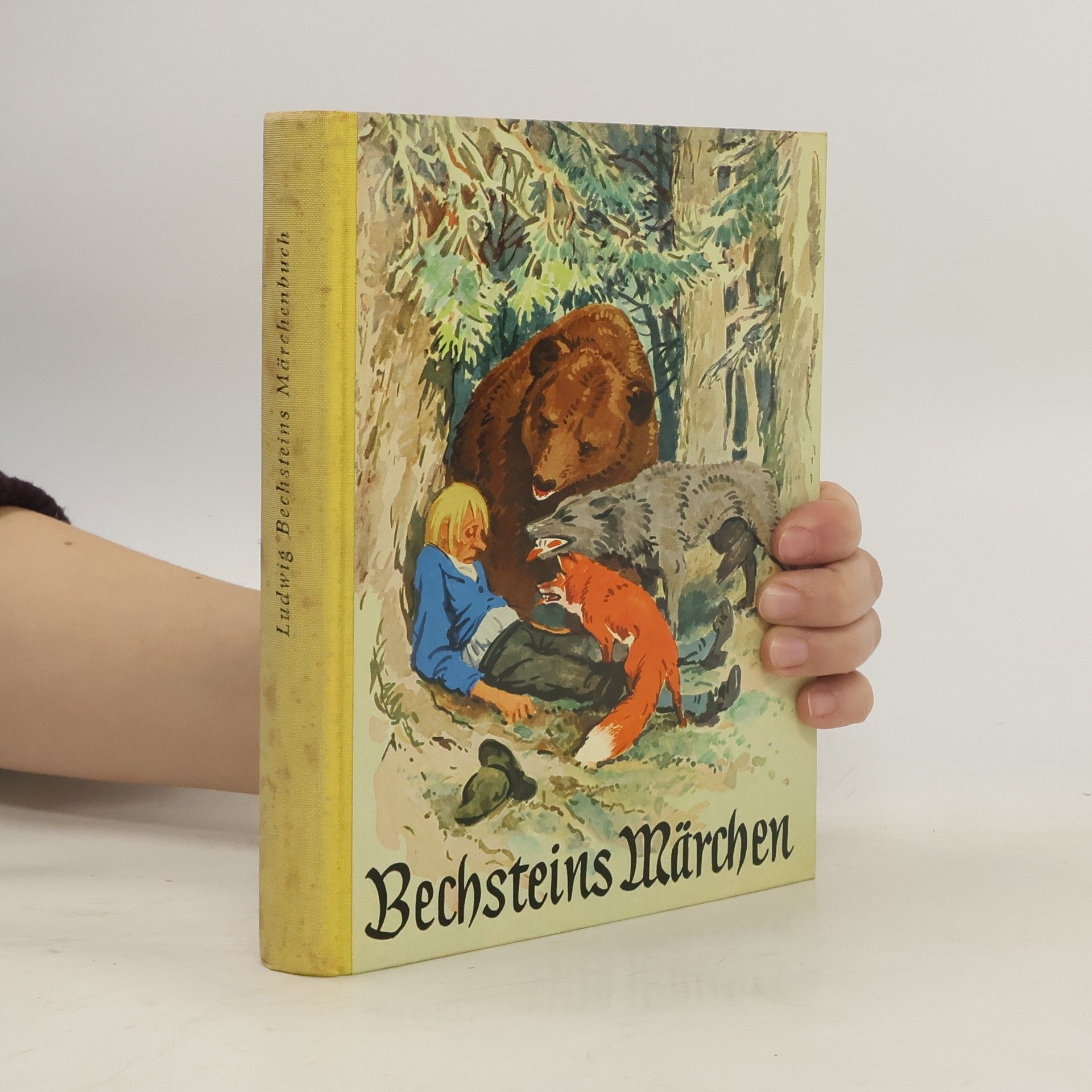 Autorenkollektiv Bechsteins Märchenbuch