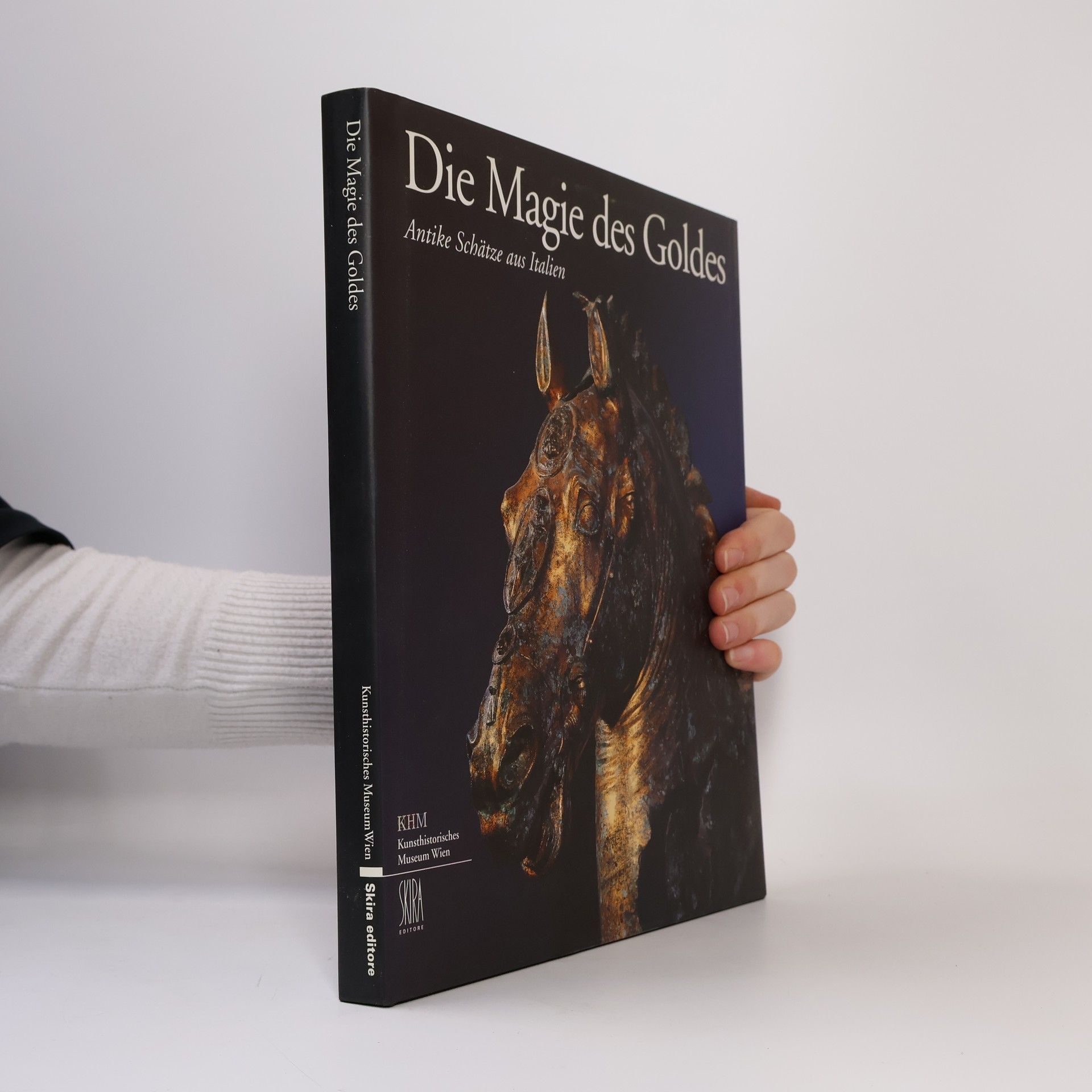 Kolektiv autorů Die Magie des Goldes