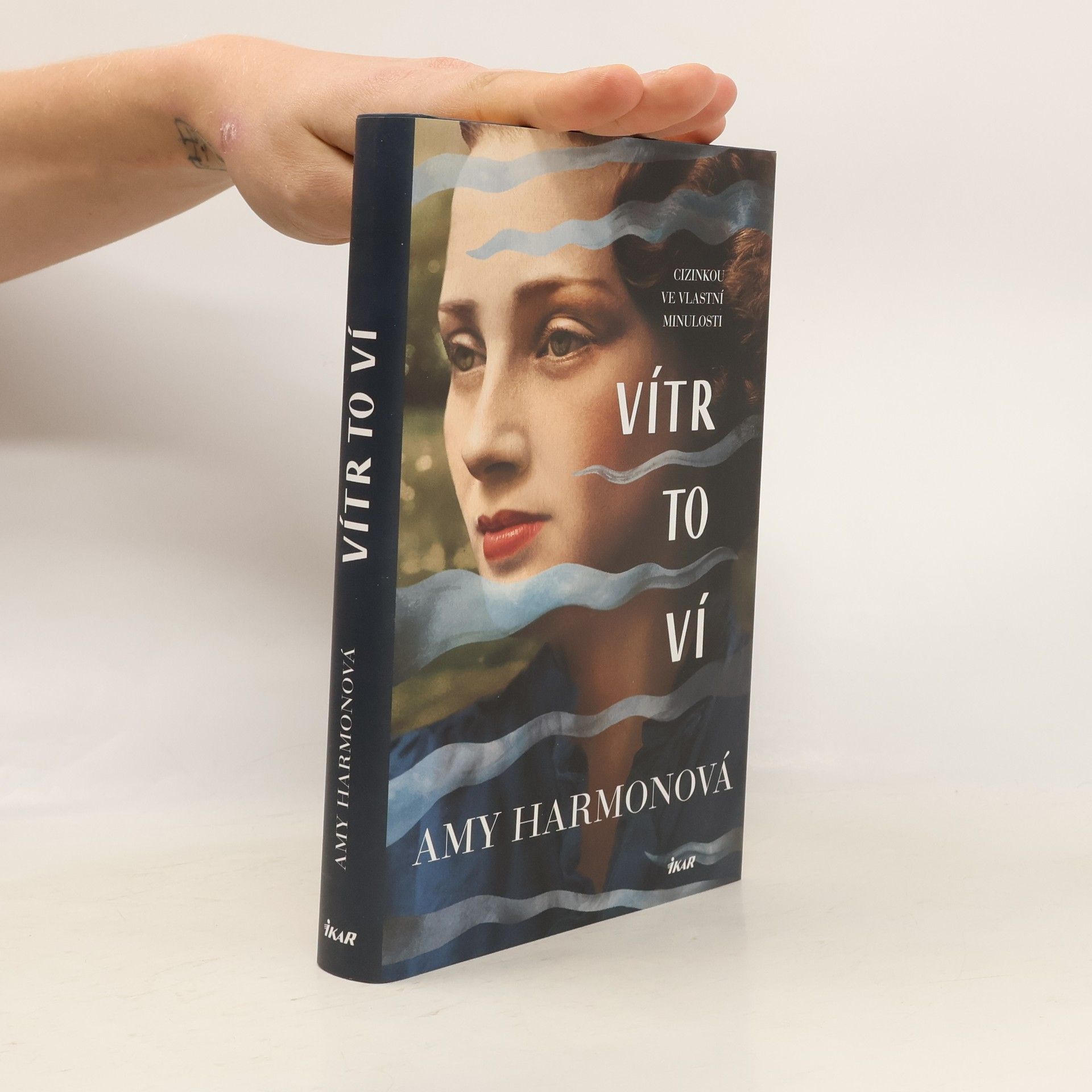 Amy Harmon Vítr to ví