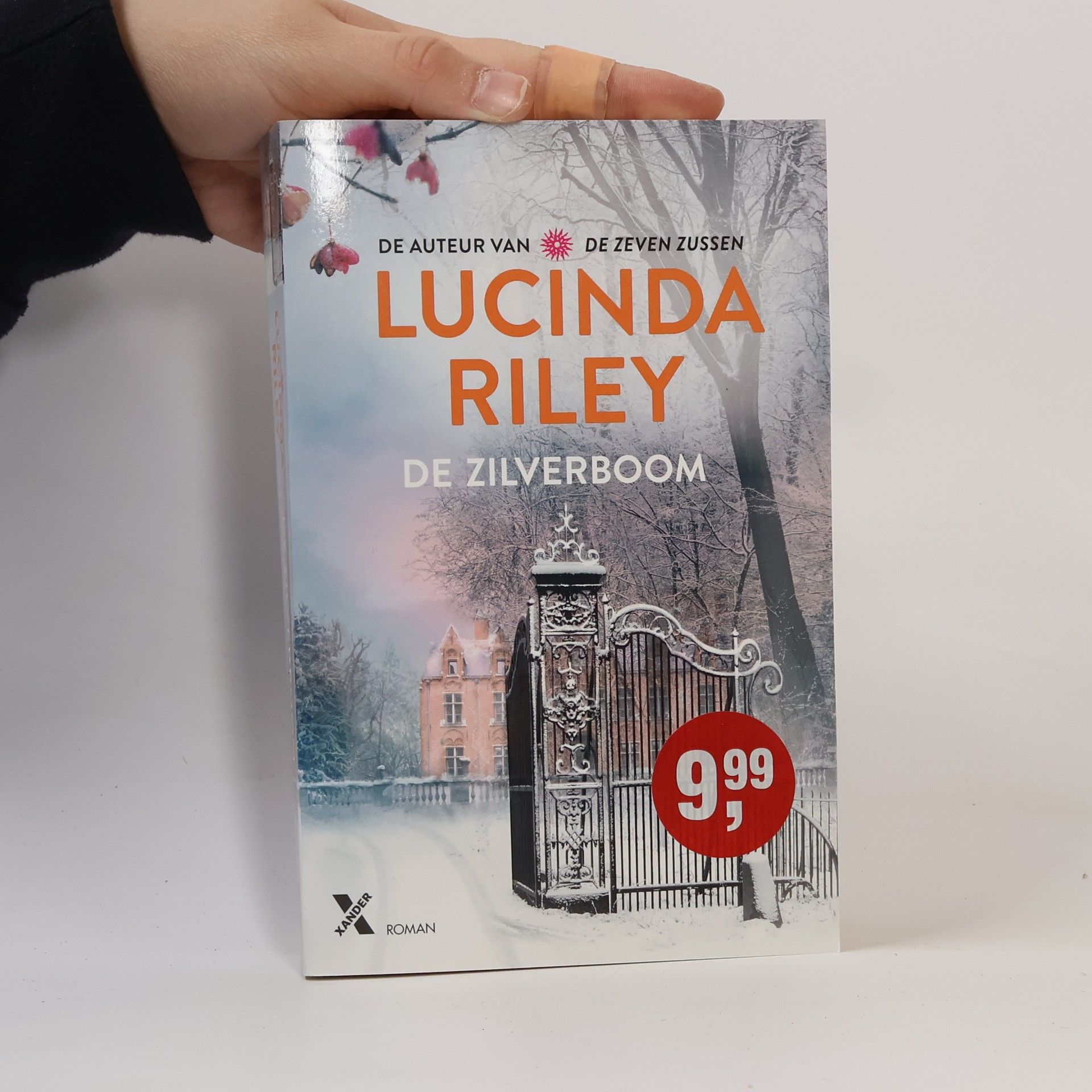 Lucinda Riley De zilverboom