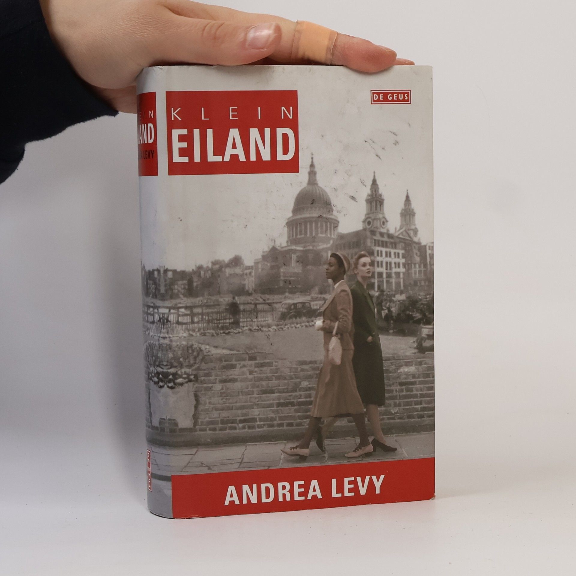 Andrea Levy Klein Eiland