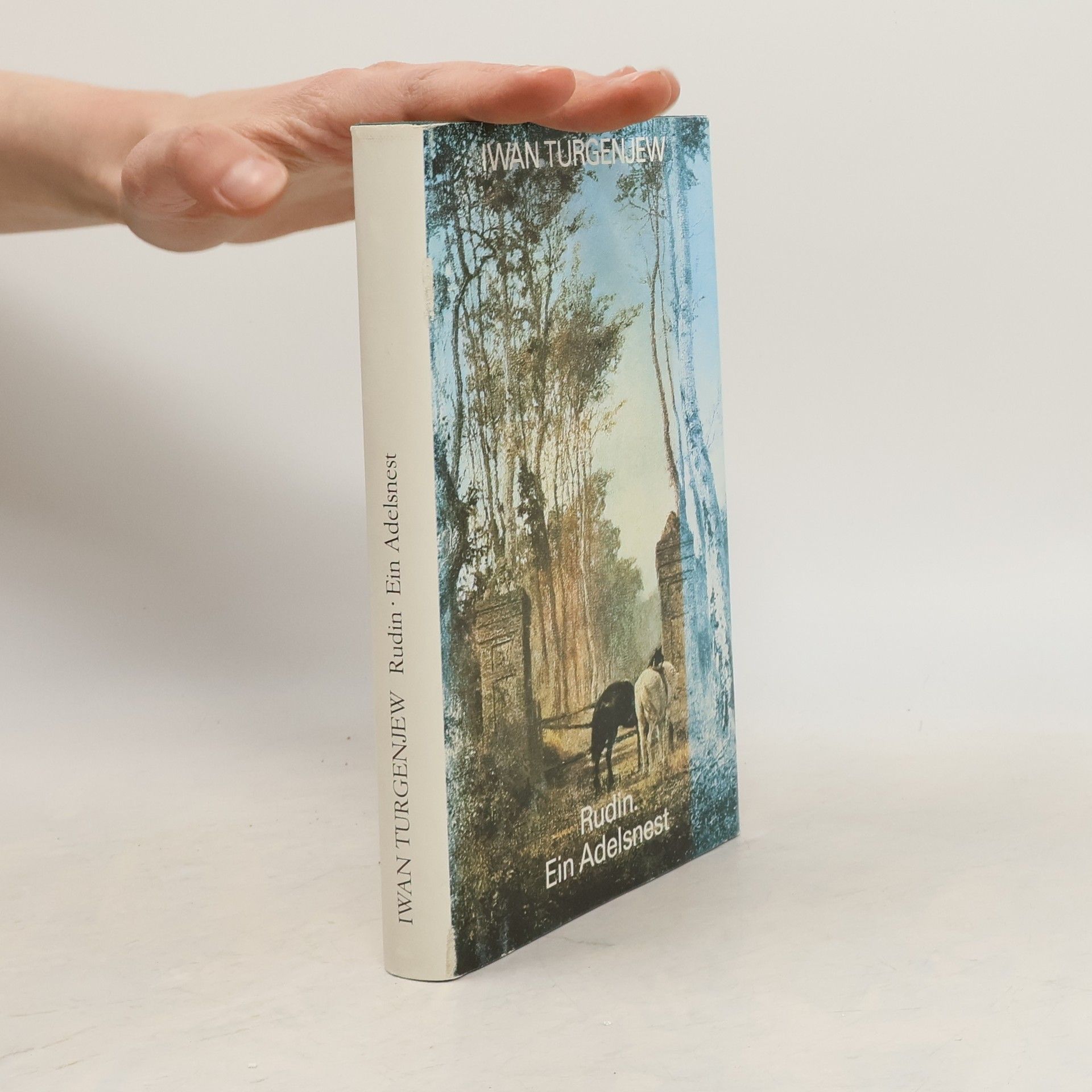 Ivan Turgenev Rudin. Ein Adelsnest