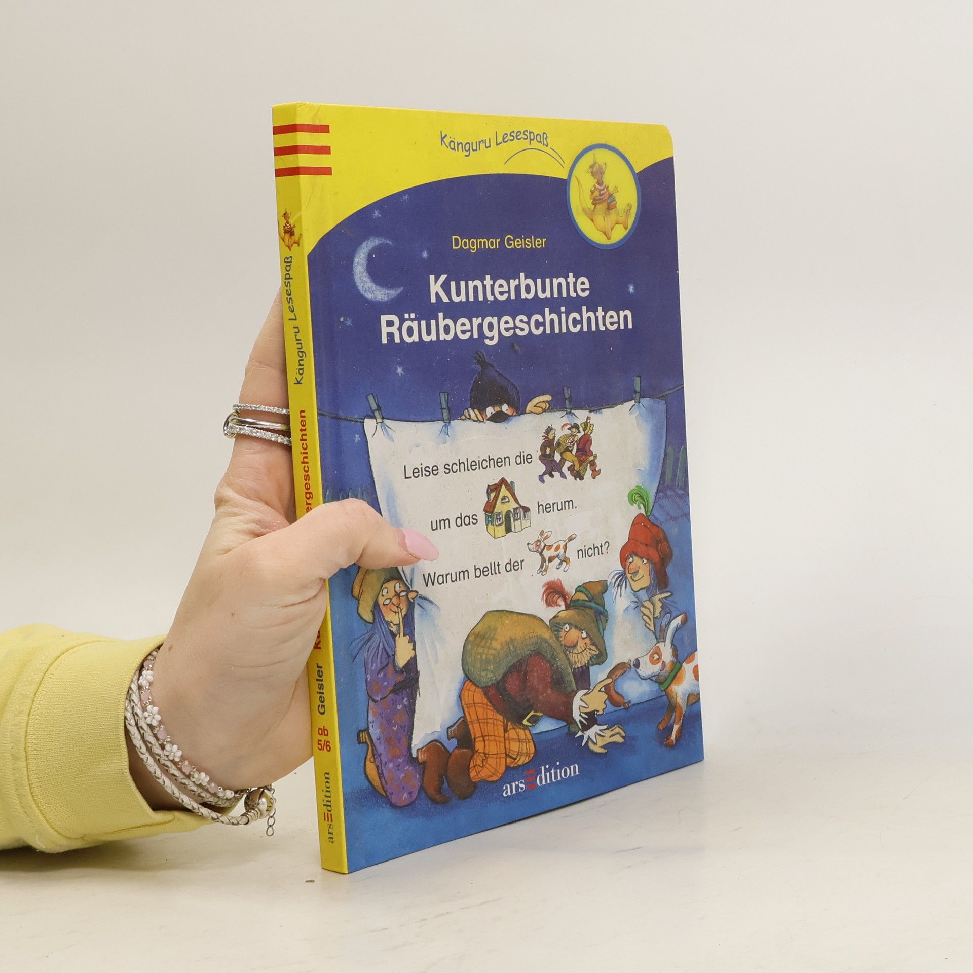 Dagmar Geisler Kunterbunte Räubergeschichten