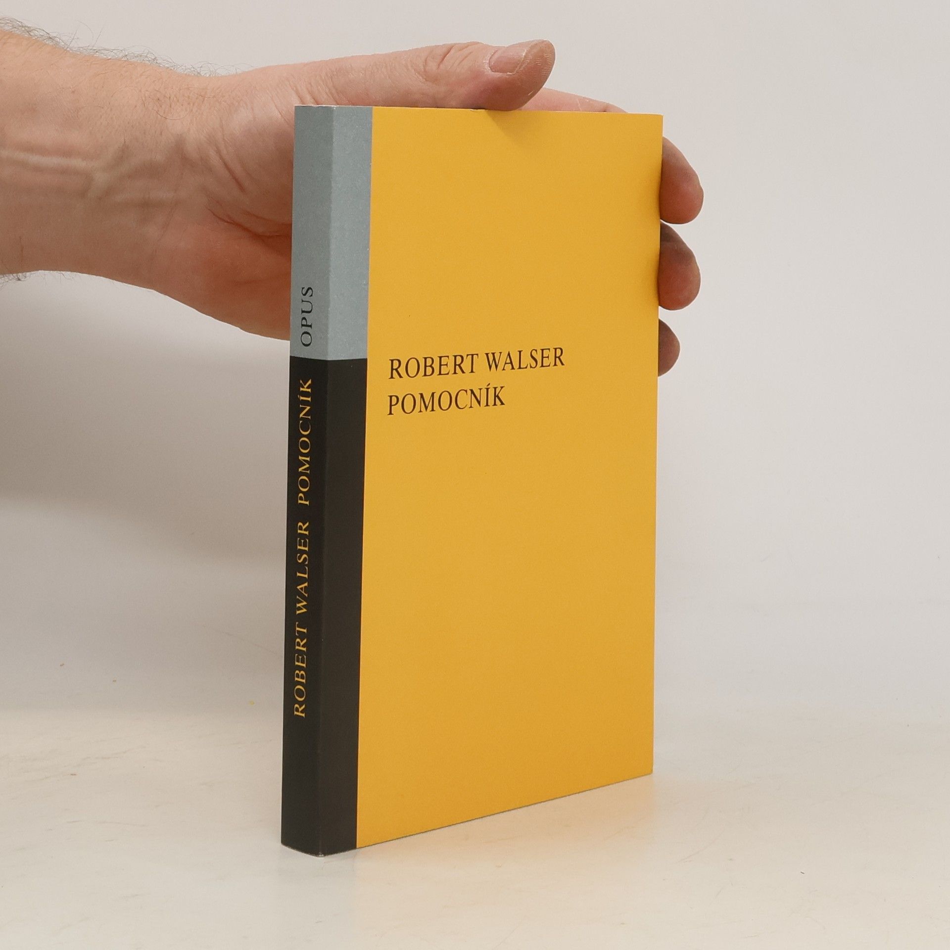 Robert Walser Pomocník