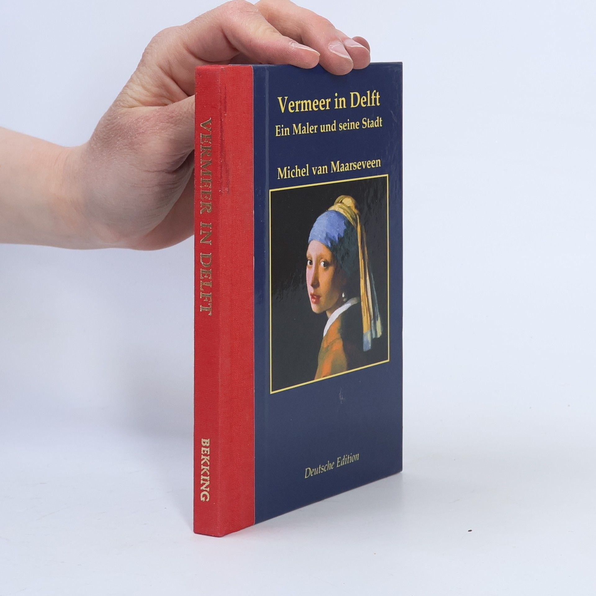 Vermeer in Delft. Ein Maler und seine Stadt