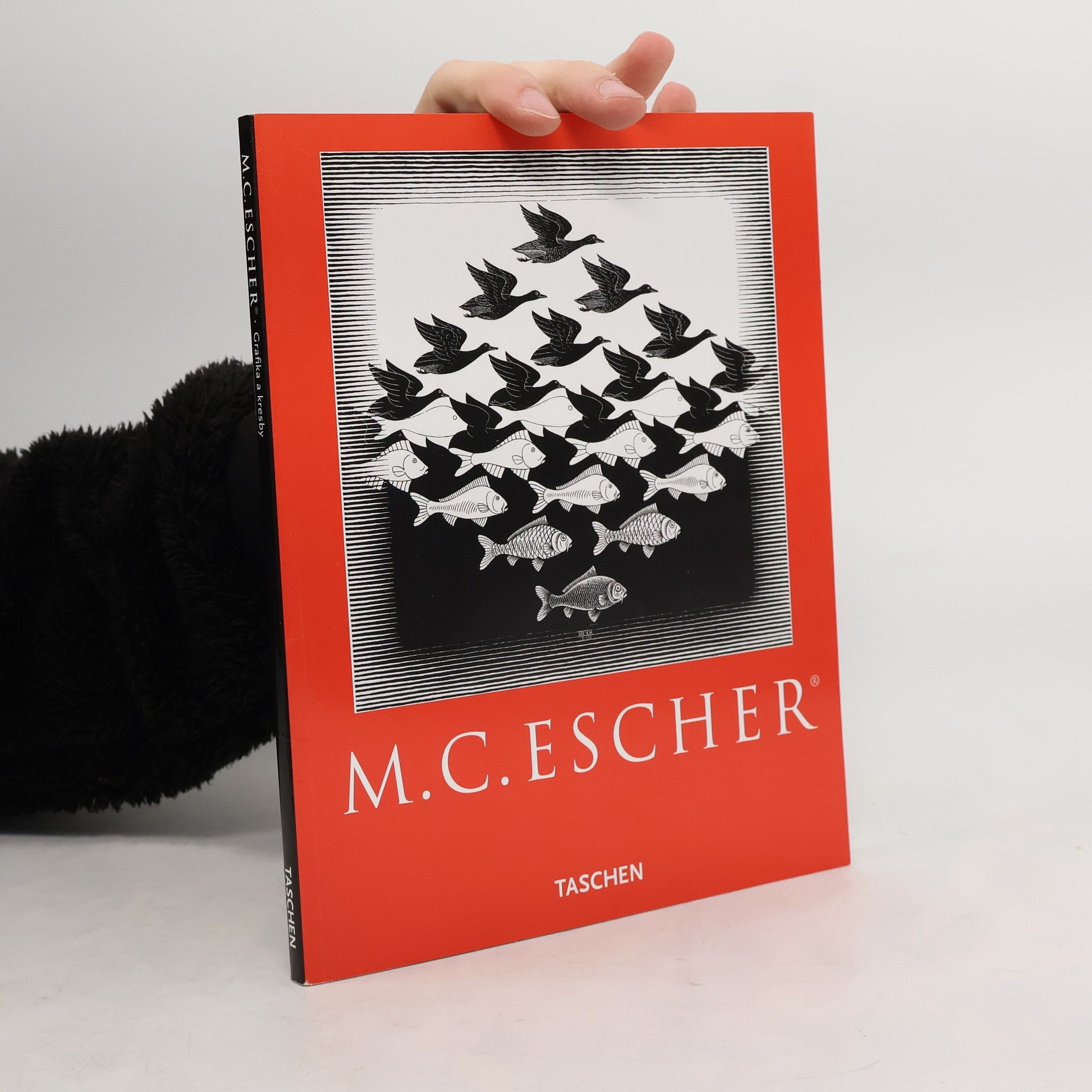 M. C. Escher M. C. Escher: Grafika a kresby
