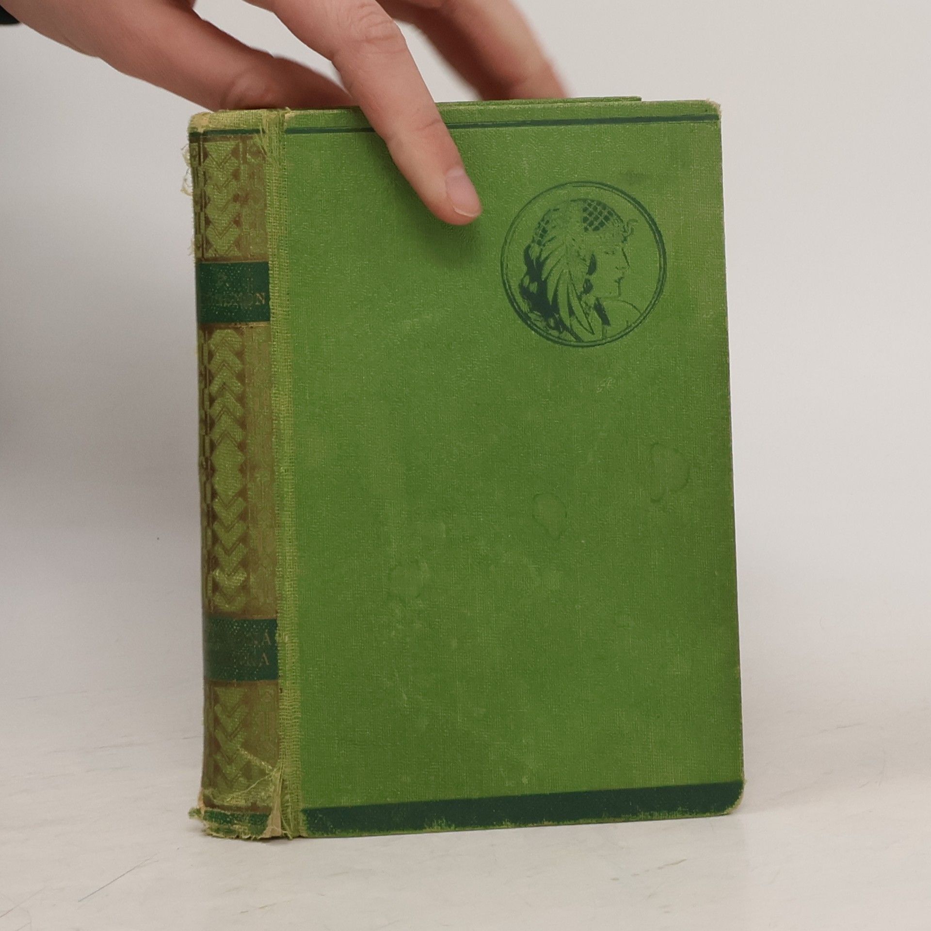 P. Grogenon Záhadná milenka