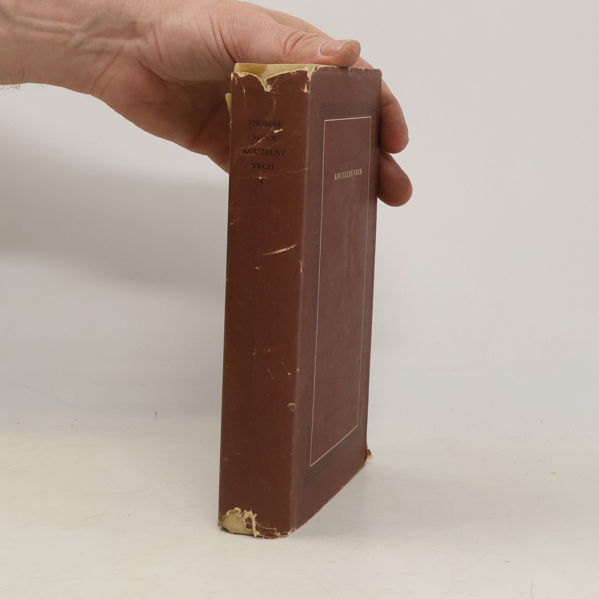 Thomas Mann Kouzelný vrch I.